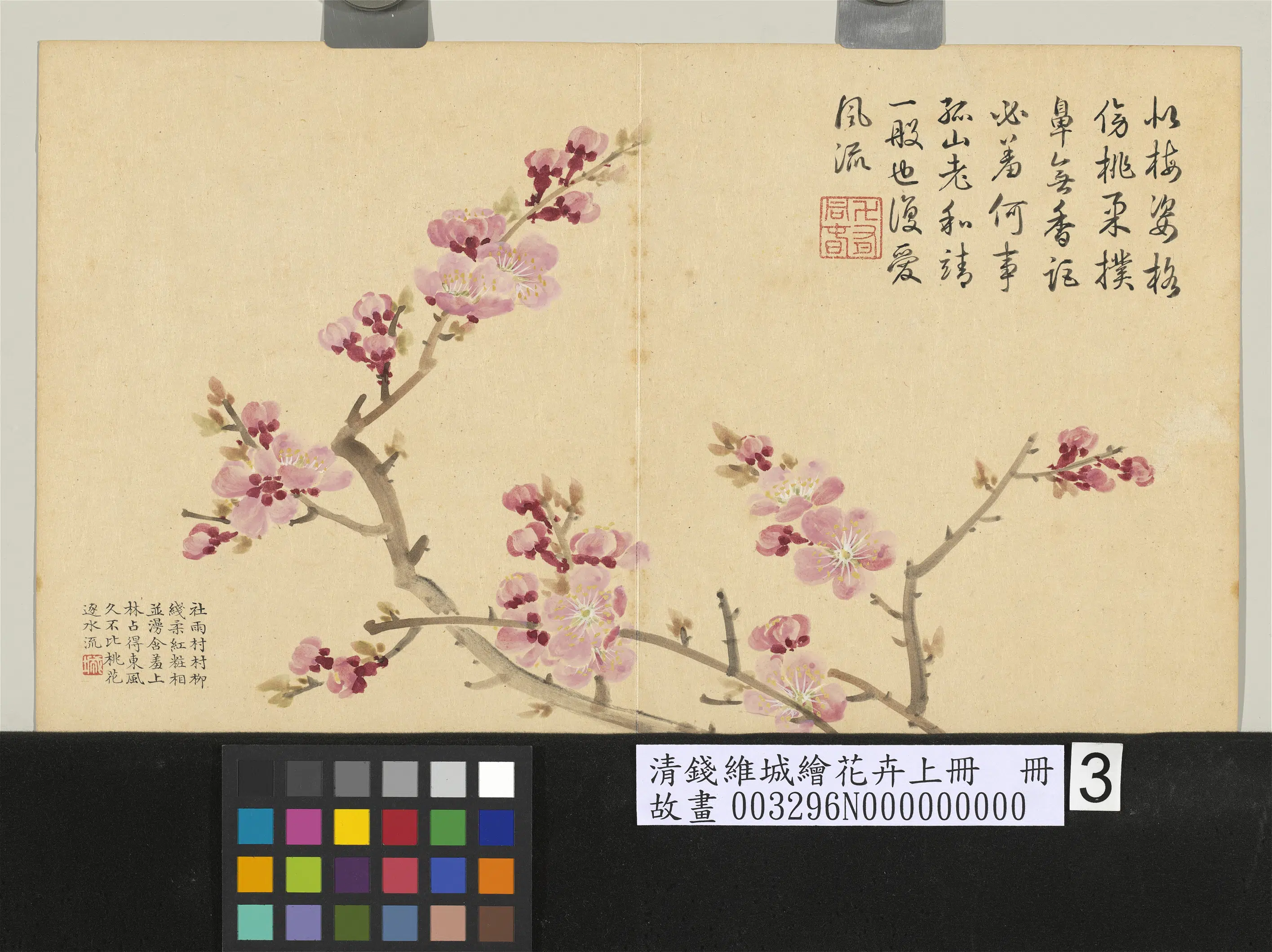 清代【钱维城】《绘花卉（上）册》 第6张
