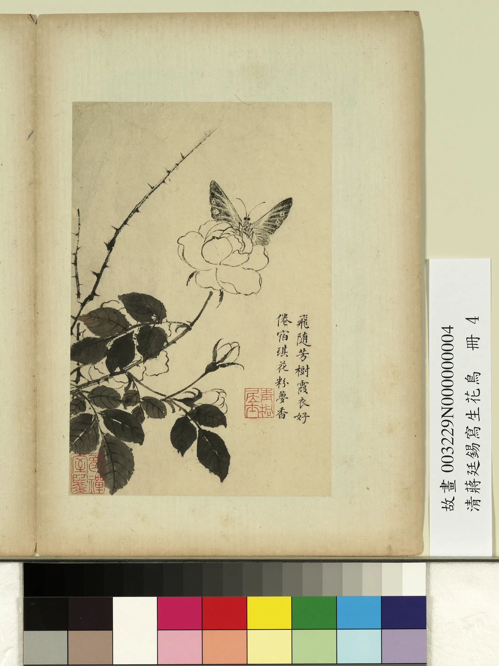 清代【蒋廷锡】《写生花鸟册》 第9张