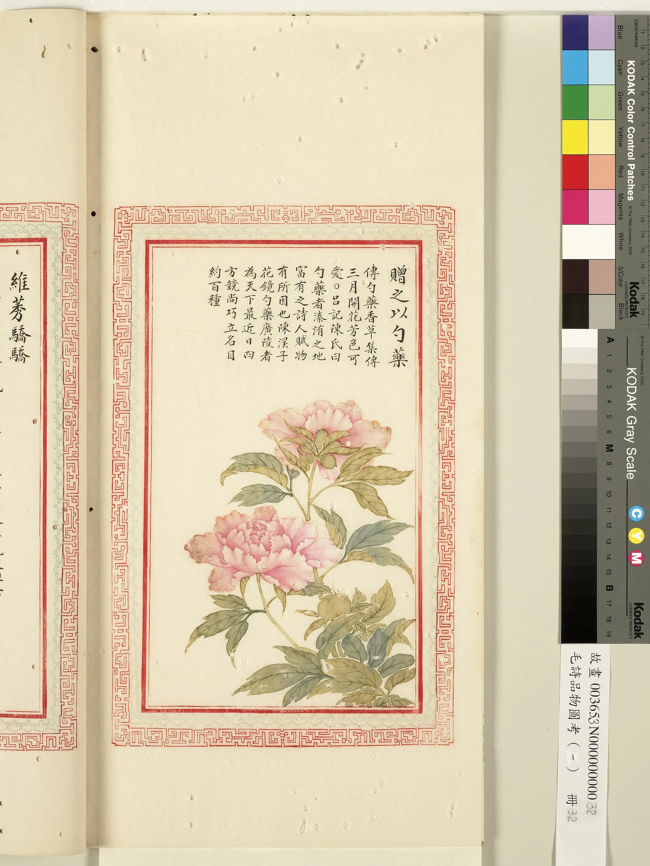 清朝【佚名】《毛诗品物图考（一）册-赠之以勺药-1》