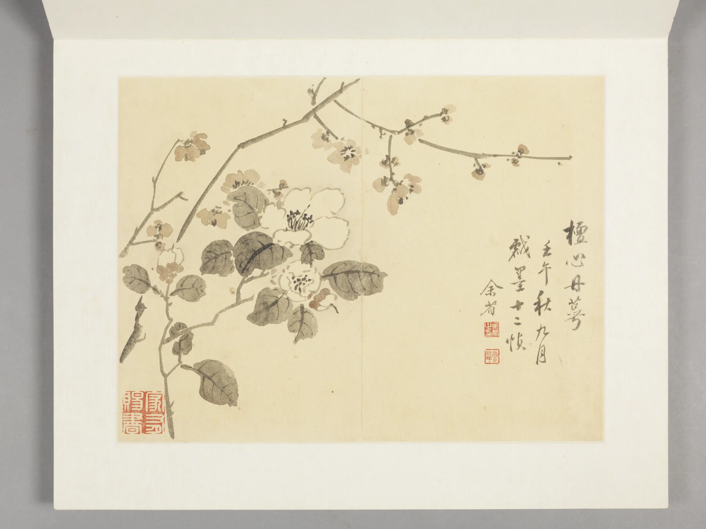 清代【余省】《花卉册（12开）》 第9张