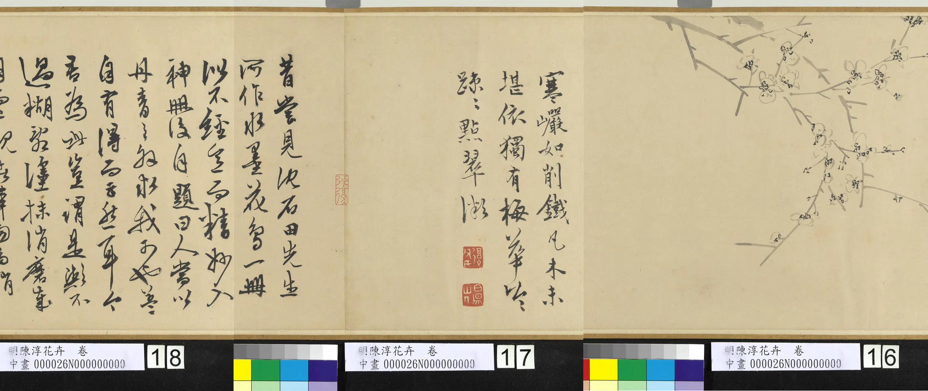 明朝【陈淳(道复)】《花卉图卷-1》 第2张 明朝【陈淳(道复)】《花卉图卷-1》 第2张