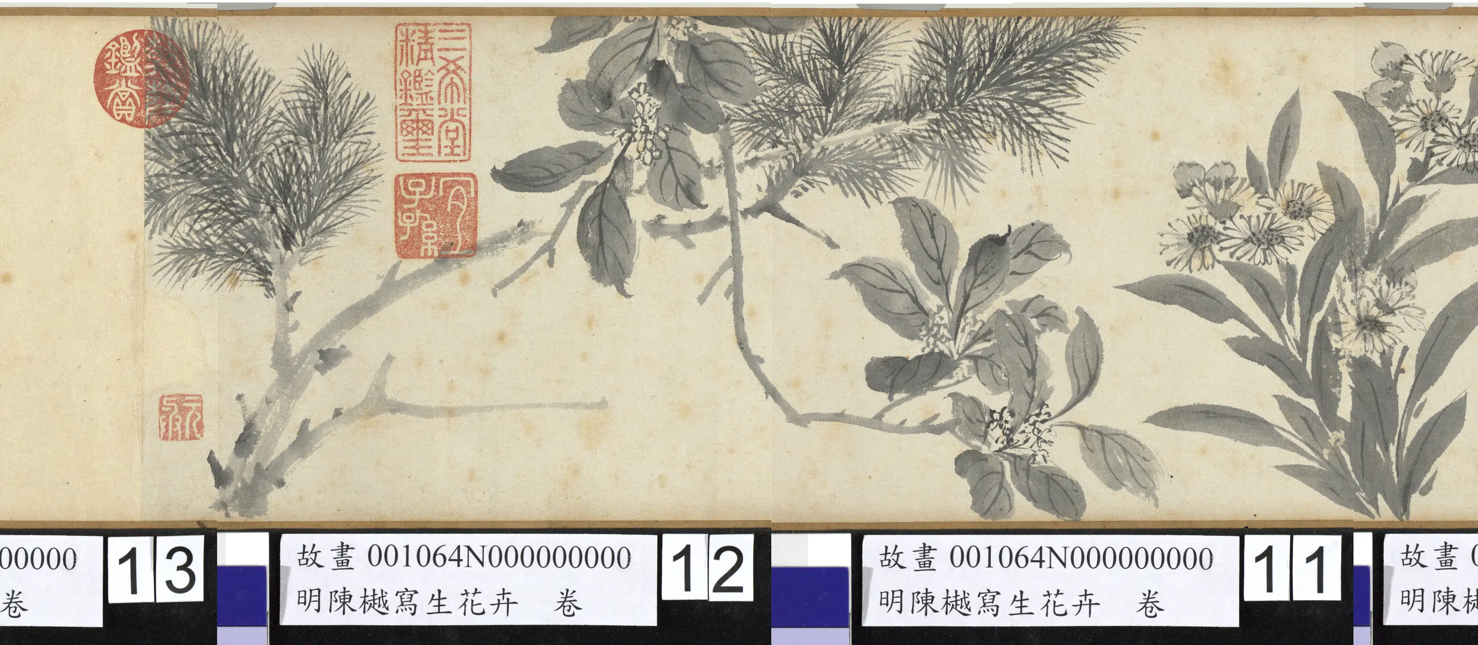 明朝【陈樾】《写生花卉卷前幅》
