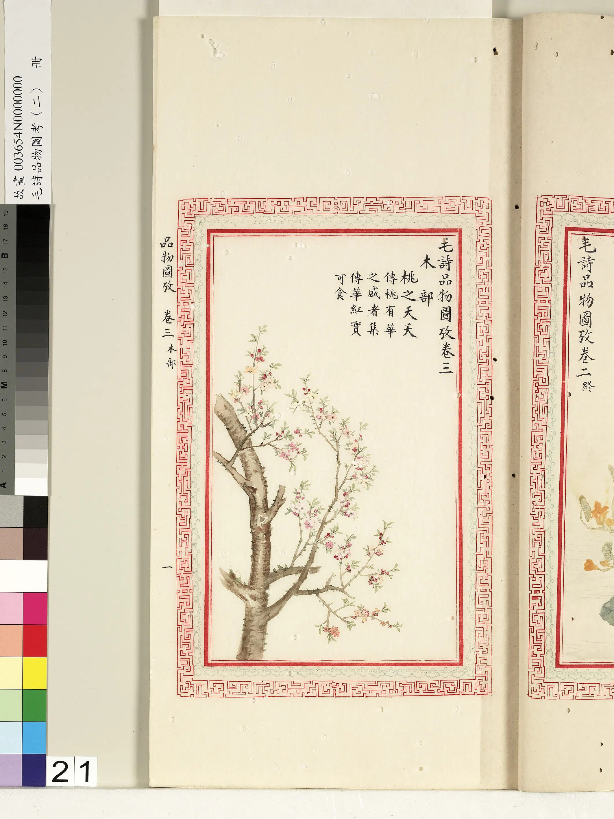清代《毛诗品物图考(二)册-1》 第30张 清代《毛诗品物图考(二)册-1》 第30张