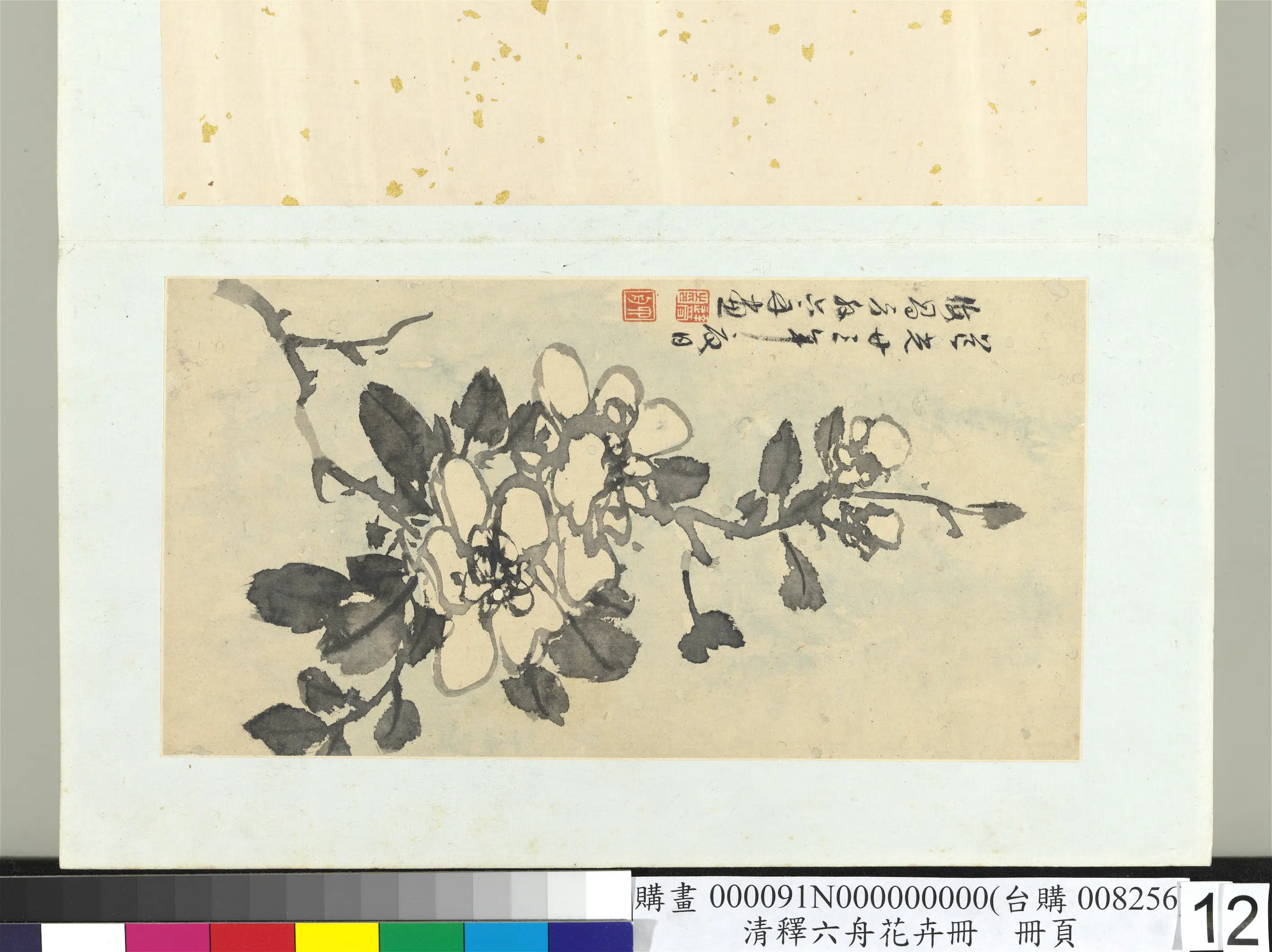 清代【释达受】《花卉册》 第11张