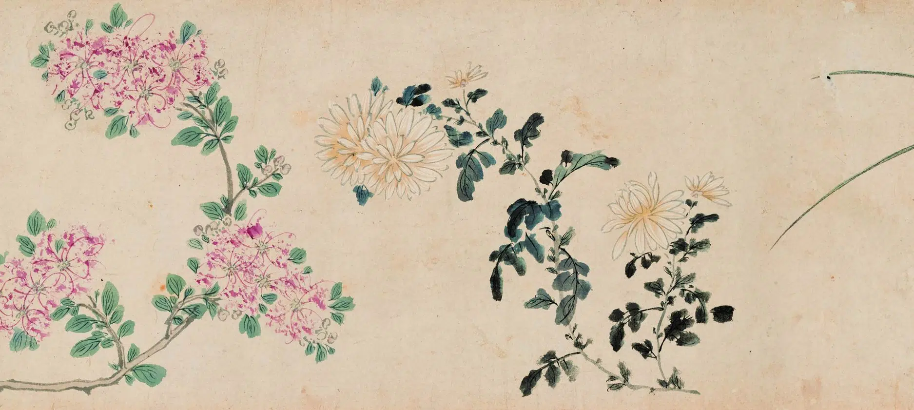 明朝【马守真】《花卉卷》 第4张