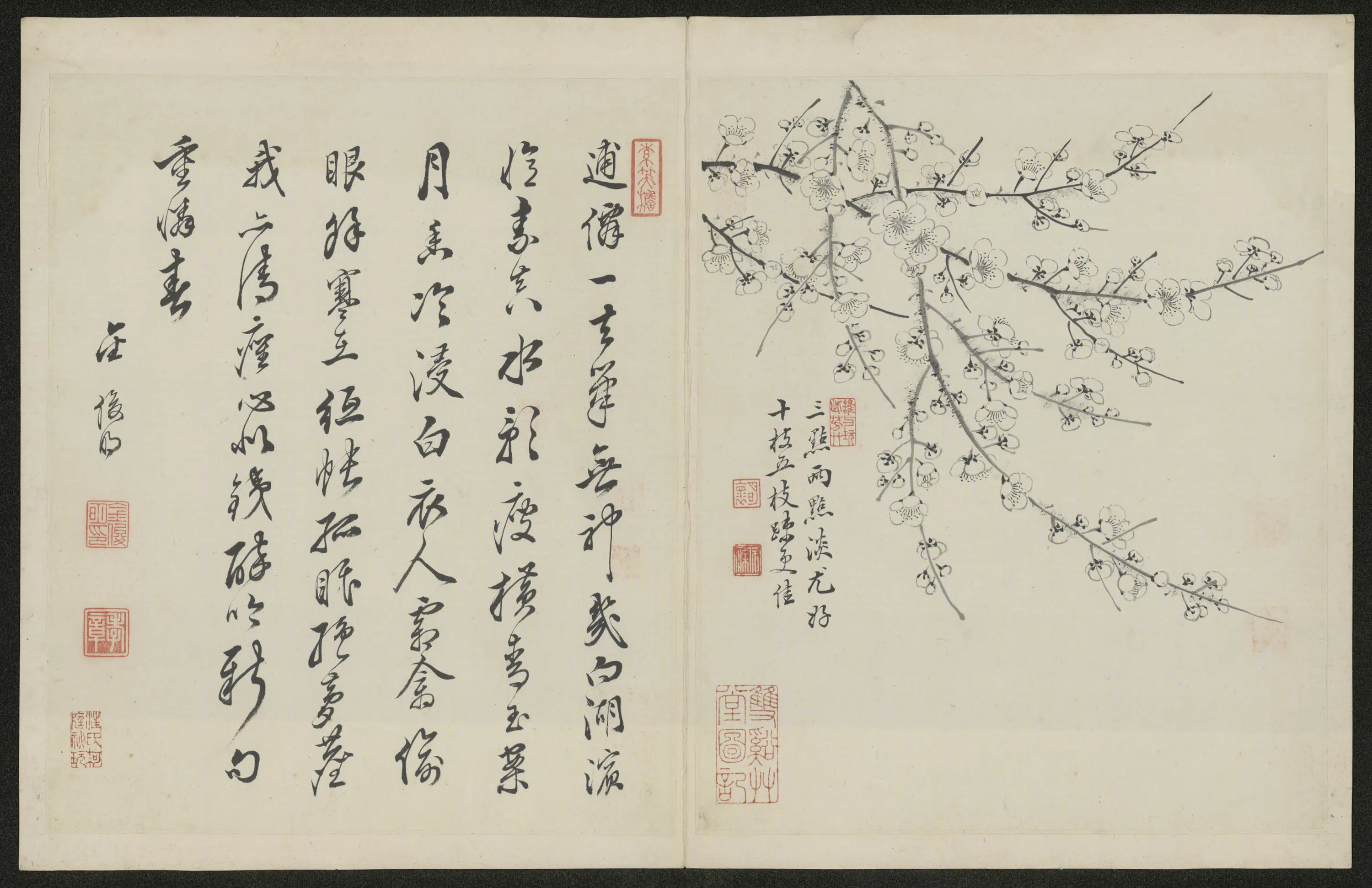 清代【金俊明】《梅花图册-2》 第7张 清代【金俊明】《梅花图册-2》 第7张
