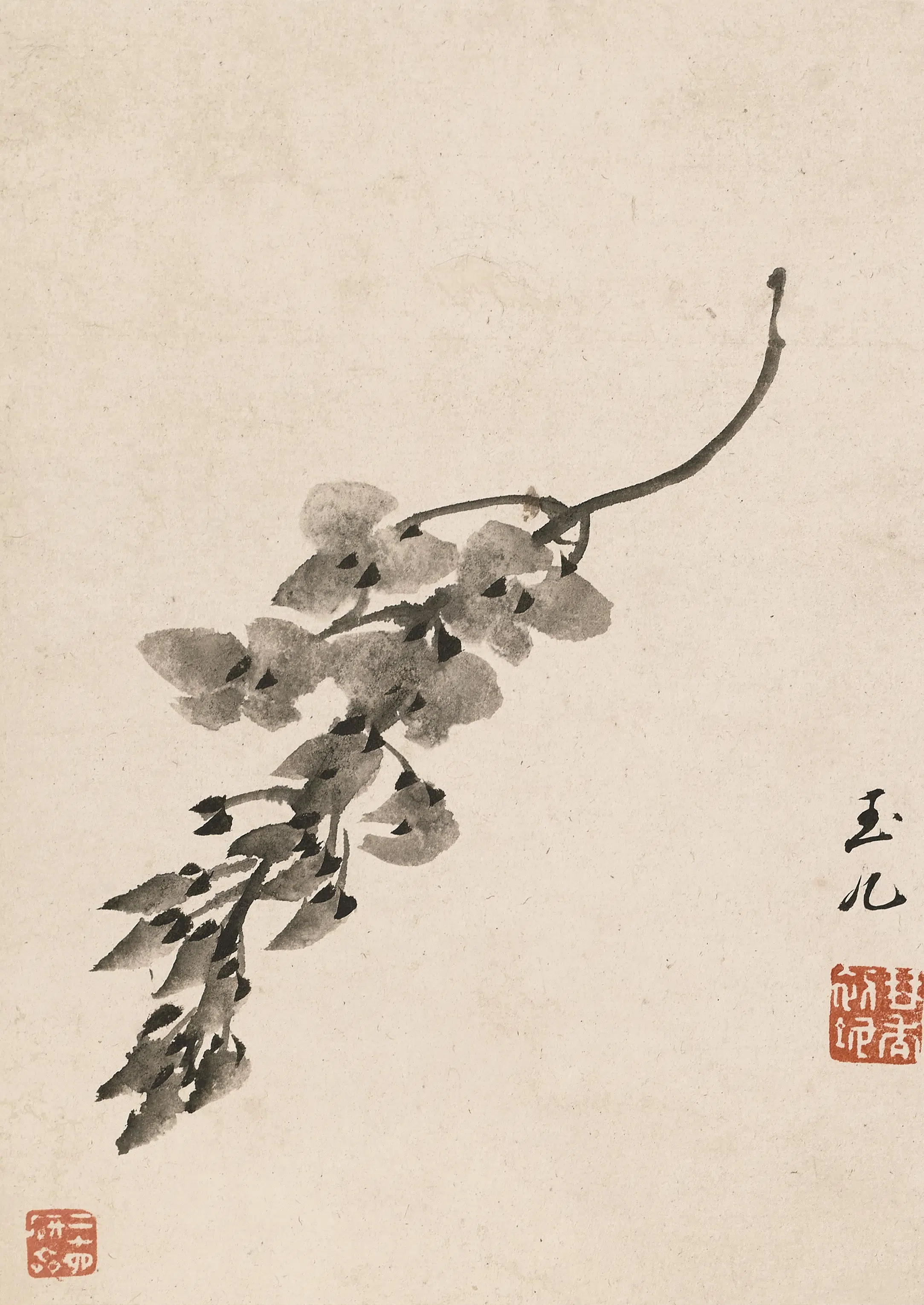 清代【陈撰】《果品花卉图册》 第4张 清代【陈撰】《果品花卉图册》 第4张