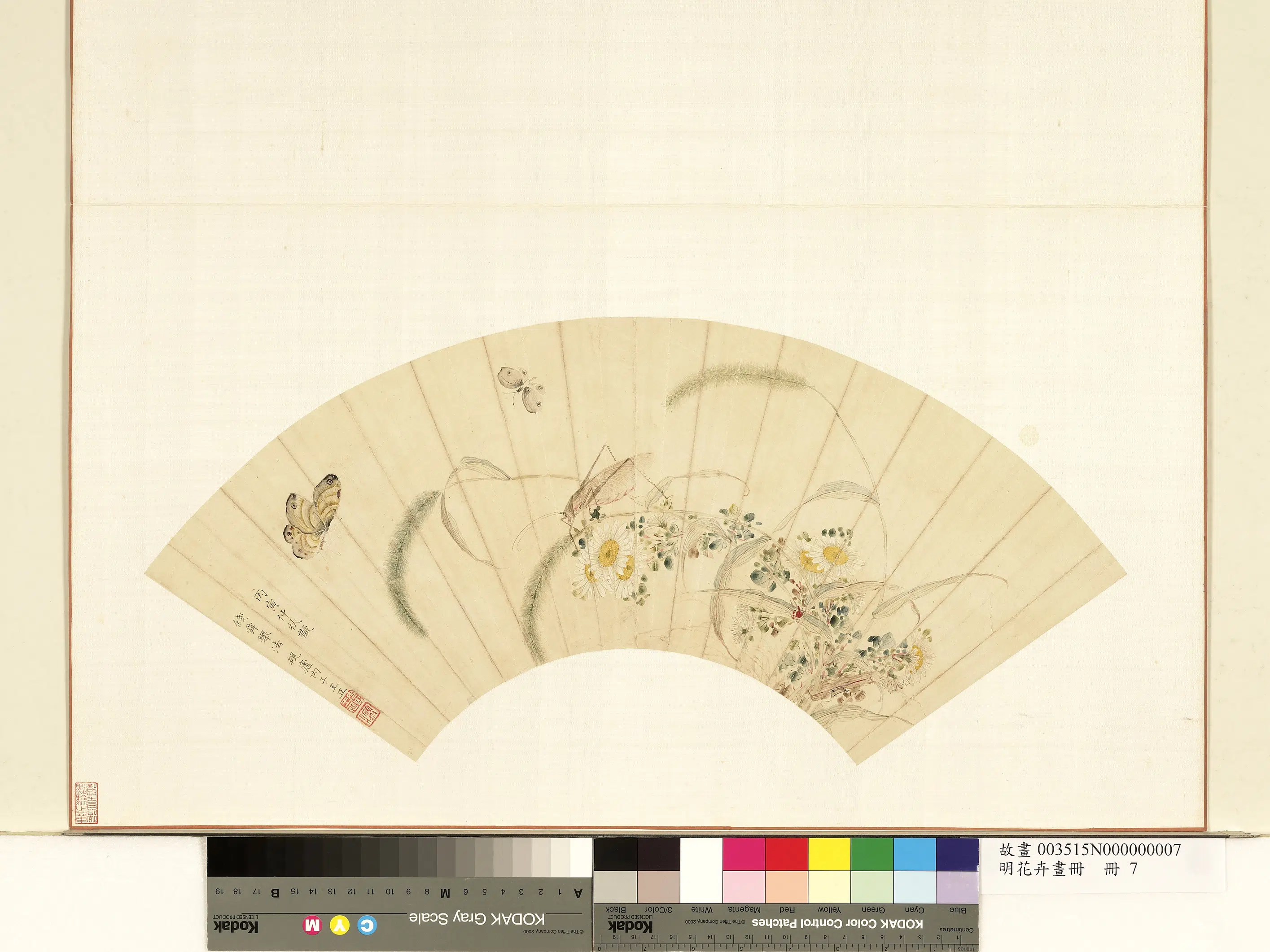 明朝【王正】《花卉画册-秋卉图》 第1张 明朝【王正】《花卉画册-秋卉图》 第1张