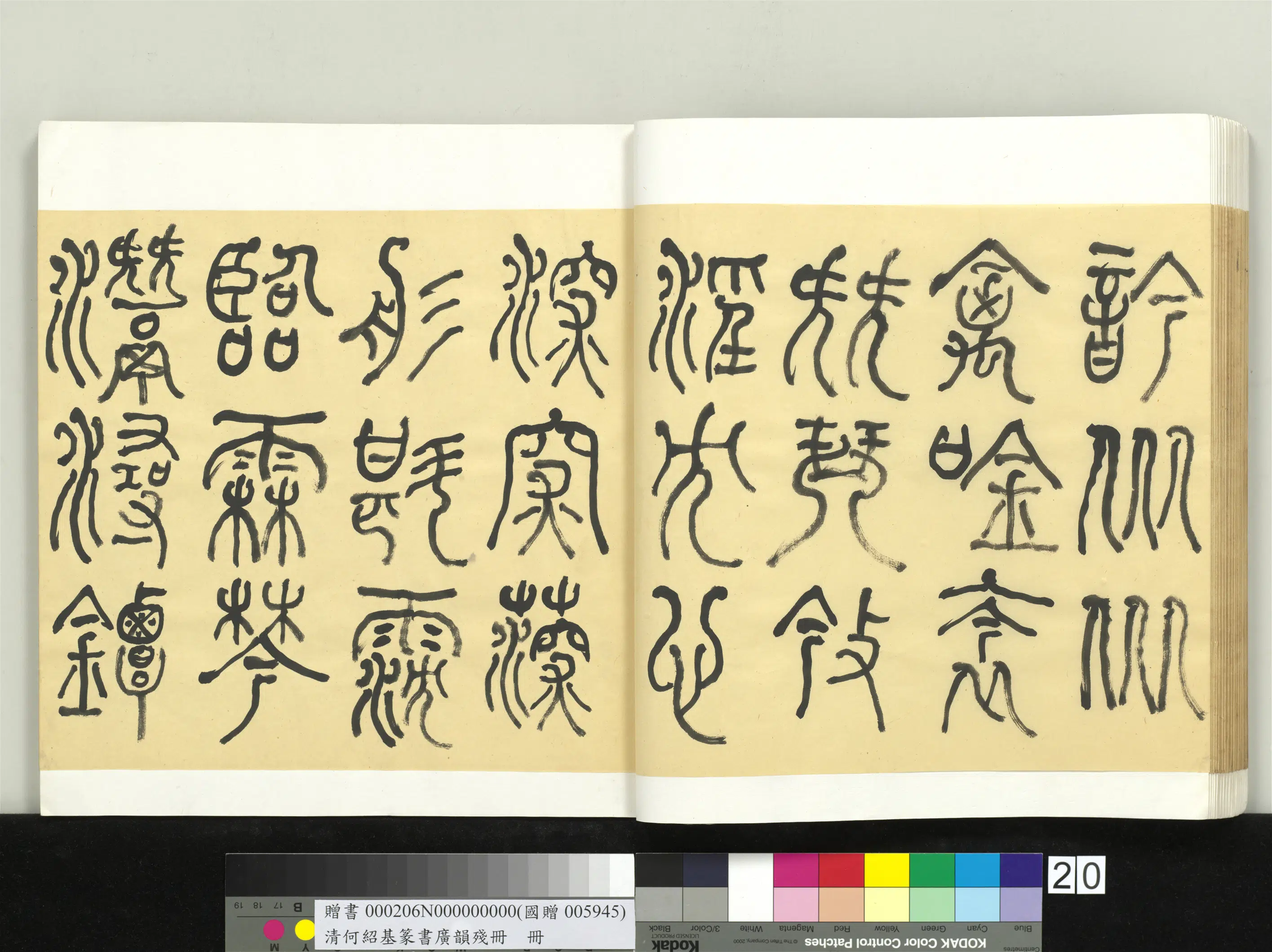 清代【何绍基】《篆书广韵册》 第20张