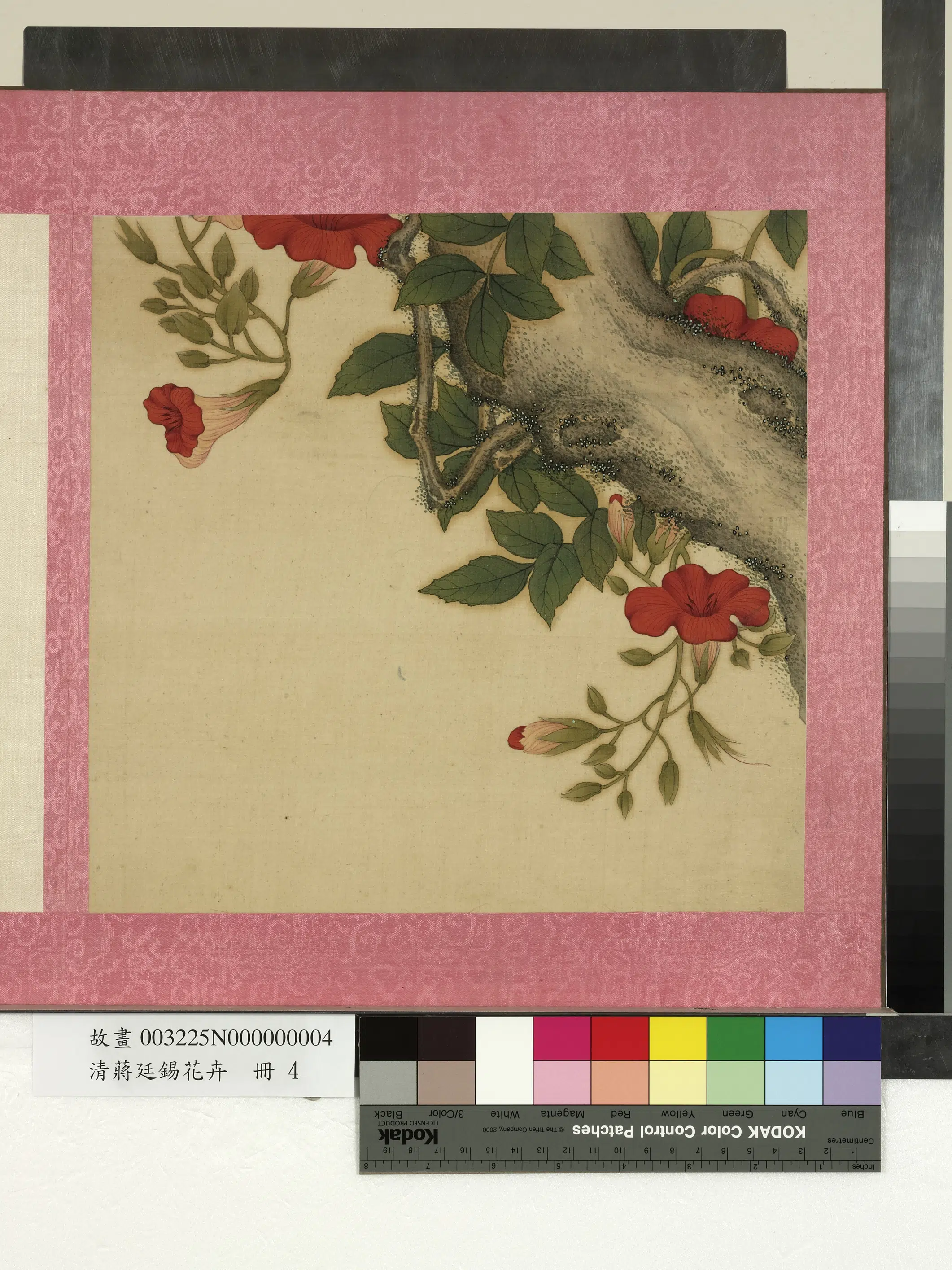 清代【蒋廷锡】《花卉册》