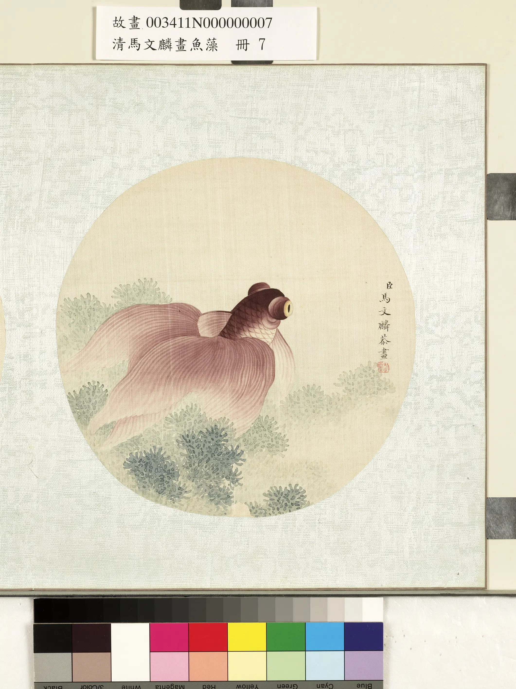 清代【马文麟】《画鱼藻册-金鱼-3》