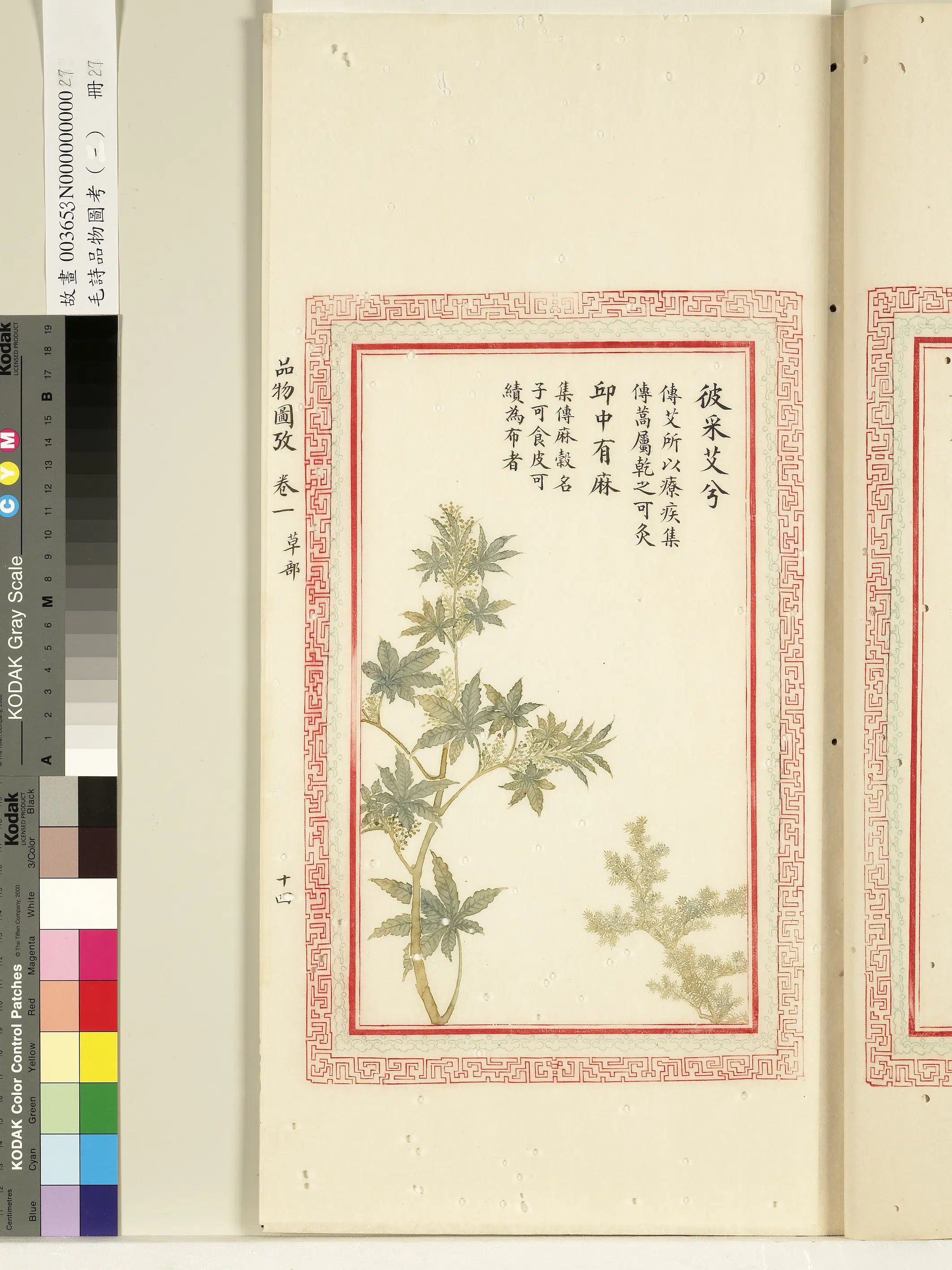 清代《毛诗品物图考(一)册-1》 第25张 清代《毛诗品物图考(一)册-1》 第25张