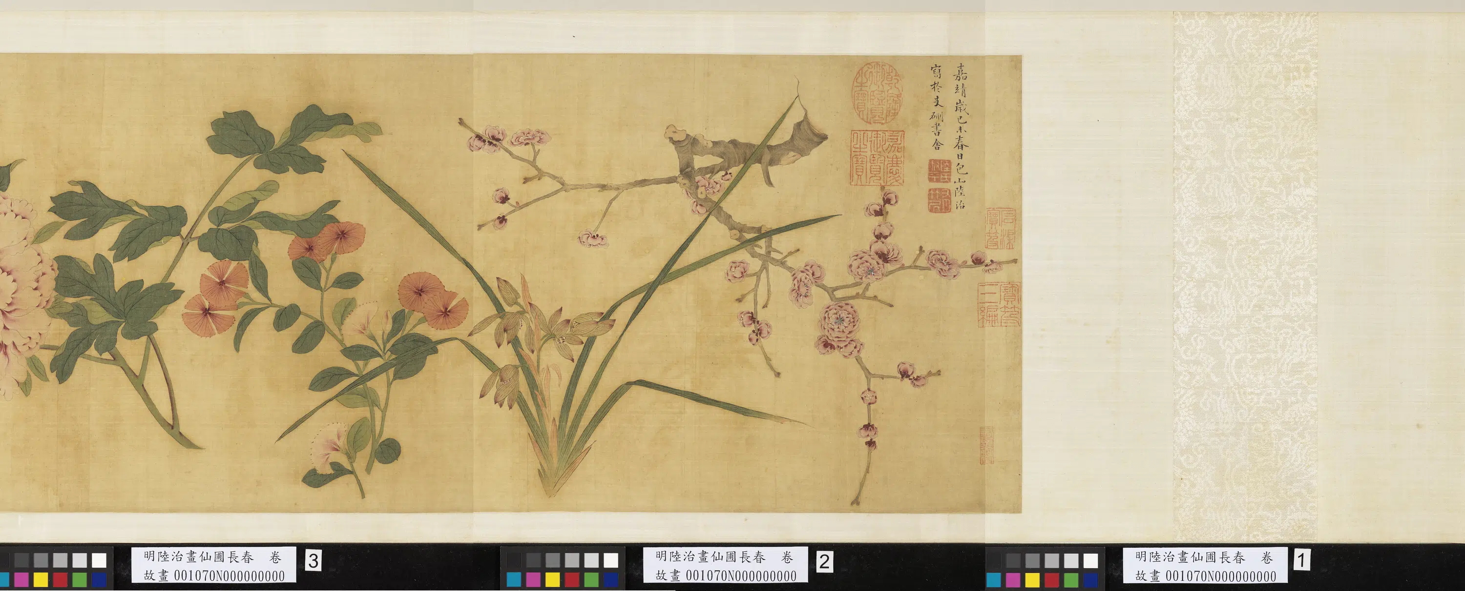 明代【陆治】《画仙圃长春卷》 第4张