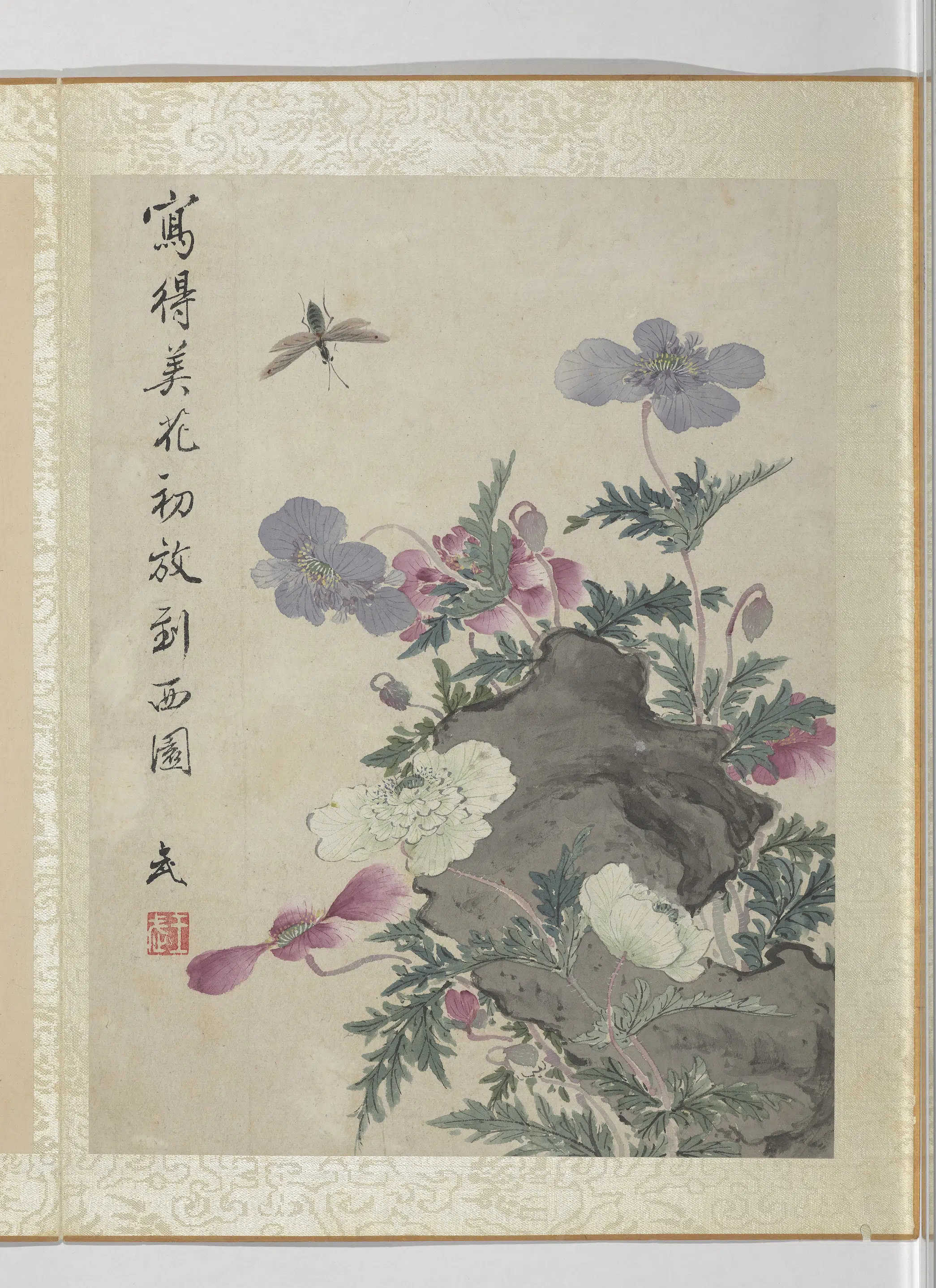 清代【王武】《花卉册》 第9张