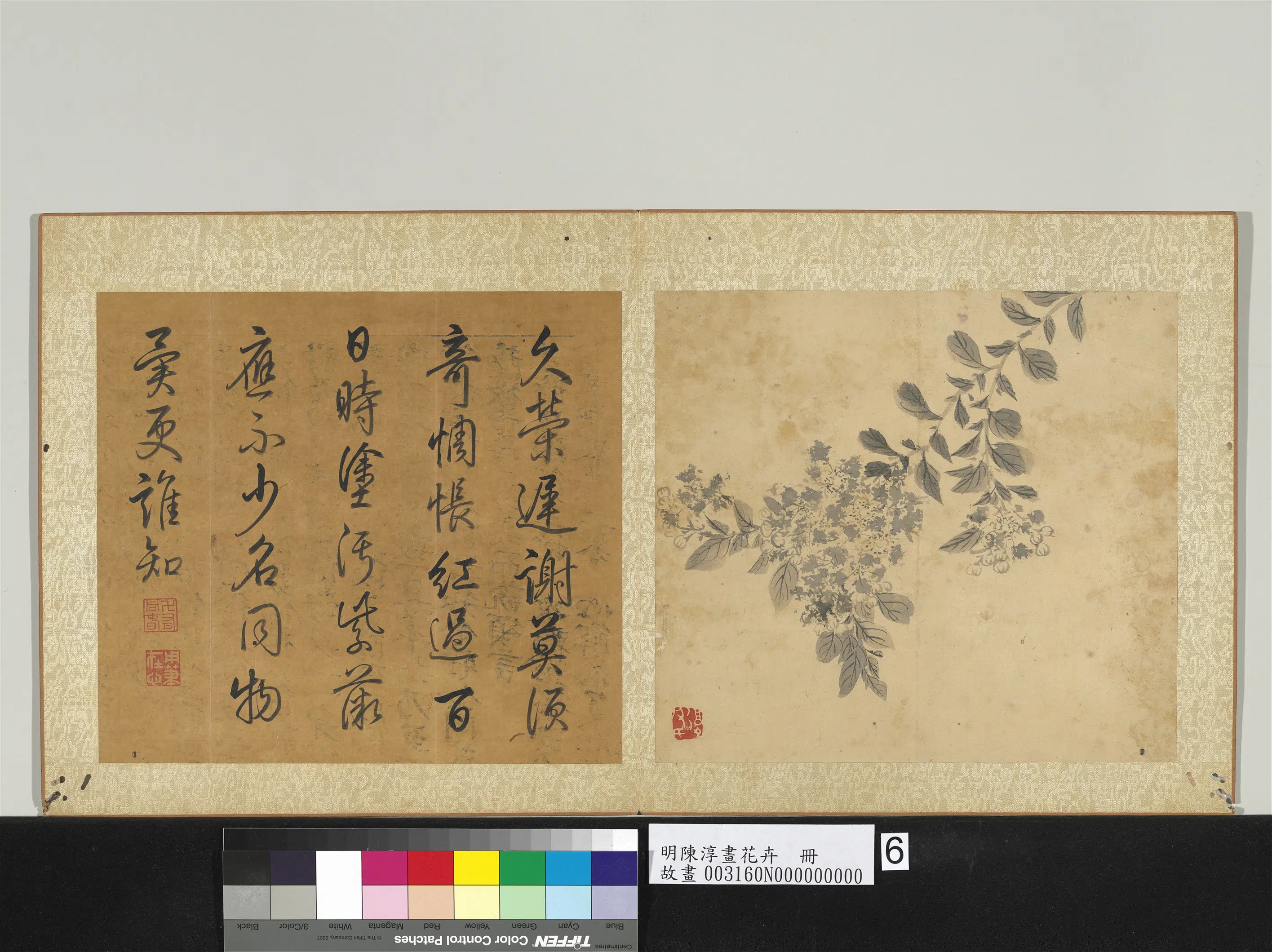 明朝【陈淳（道复）】《画花卉册》 第8张