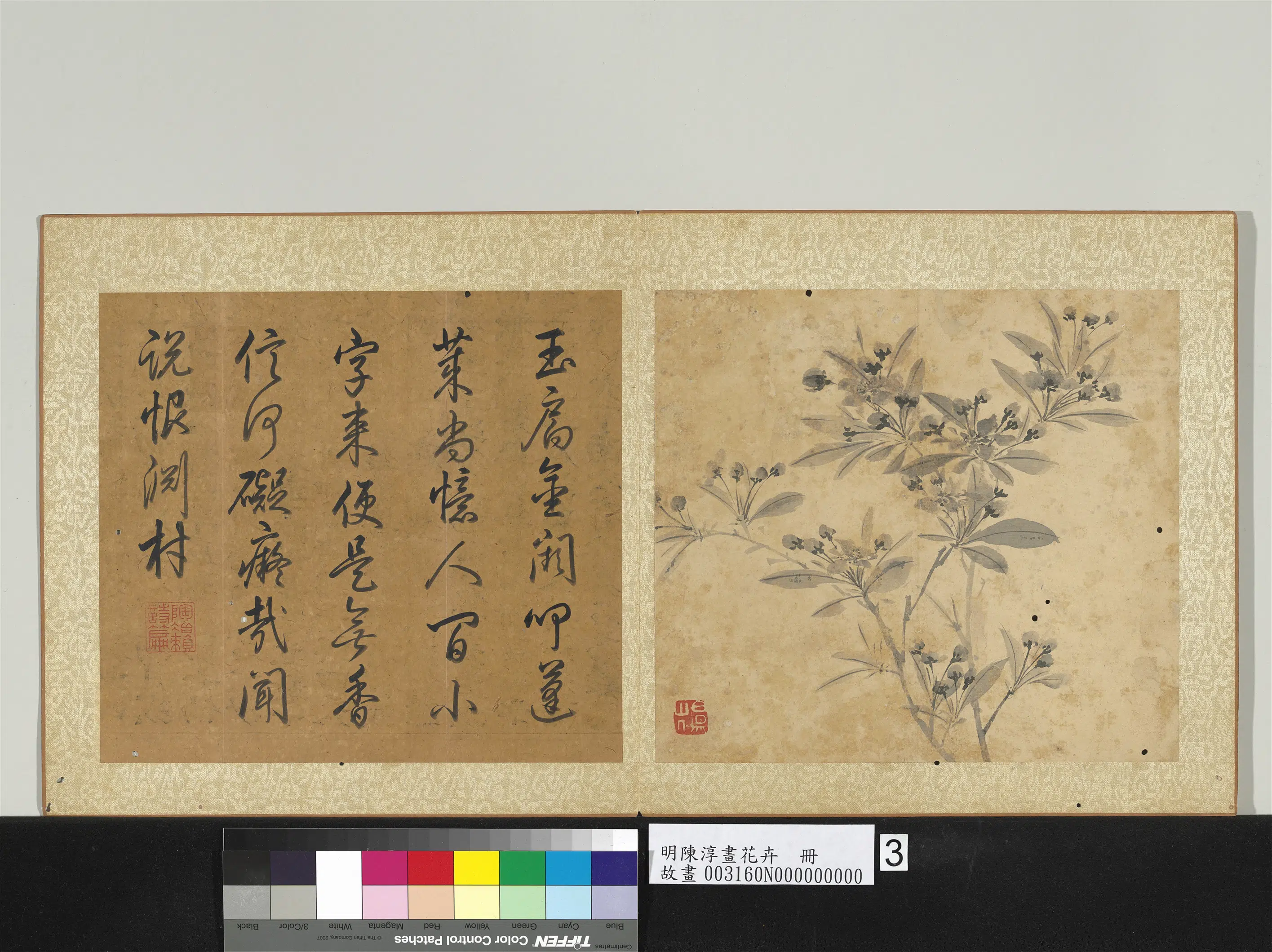 明朝【陈淳（道复）】《画花卉册》 第5张