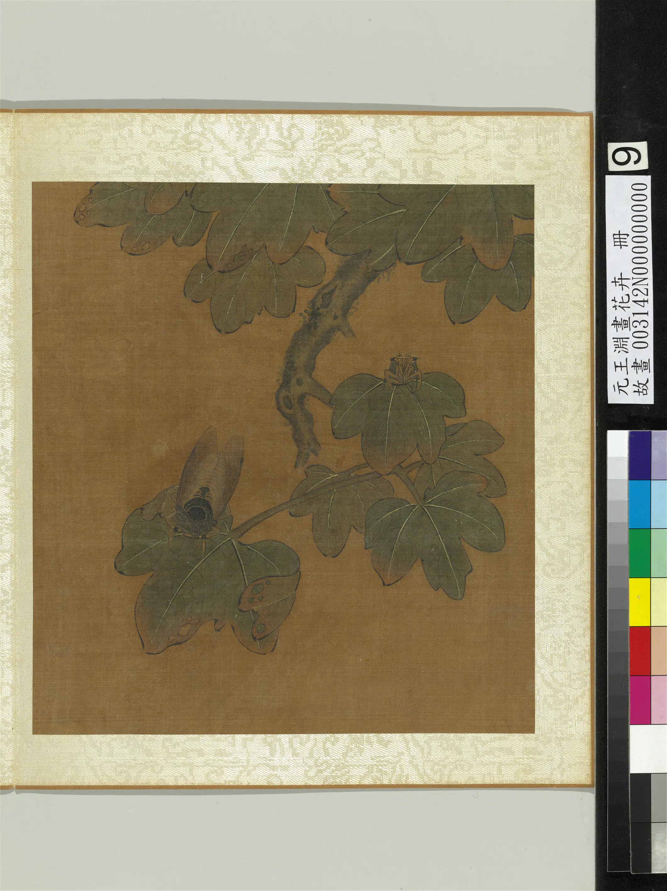 元朝【王渊】《画花卉册-梧桐》