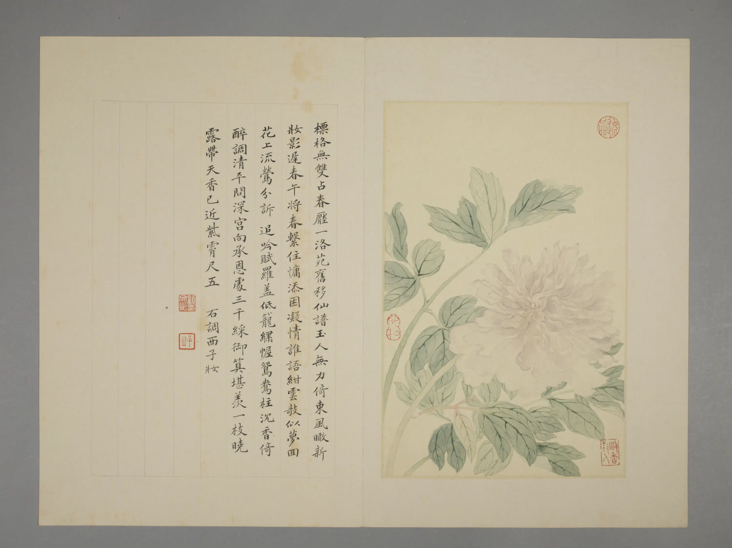 清代【恽寿平】《花卉册（7开）》 第1张