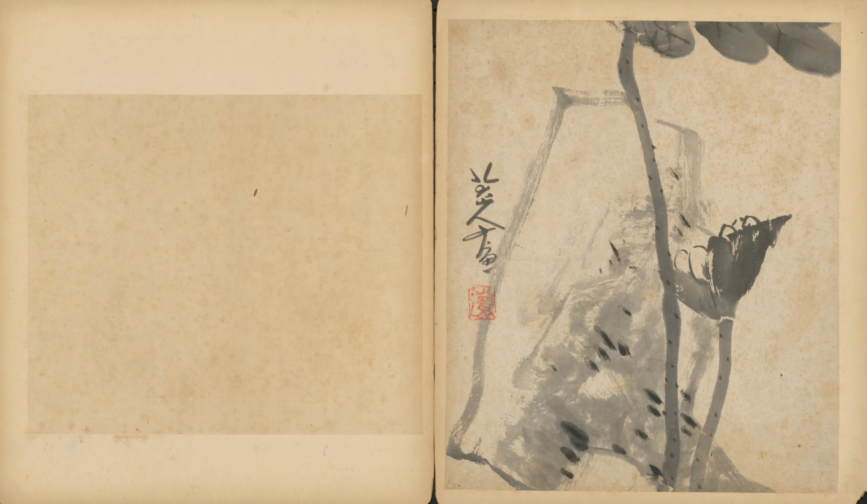 清代【朱耷】《杂画册（9开）》 第8张