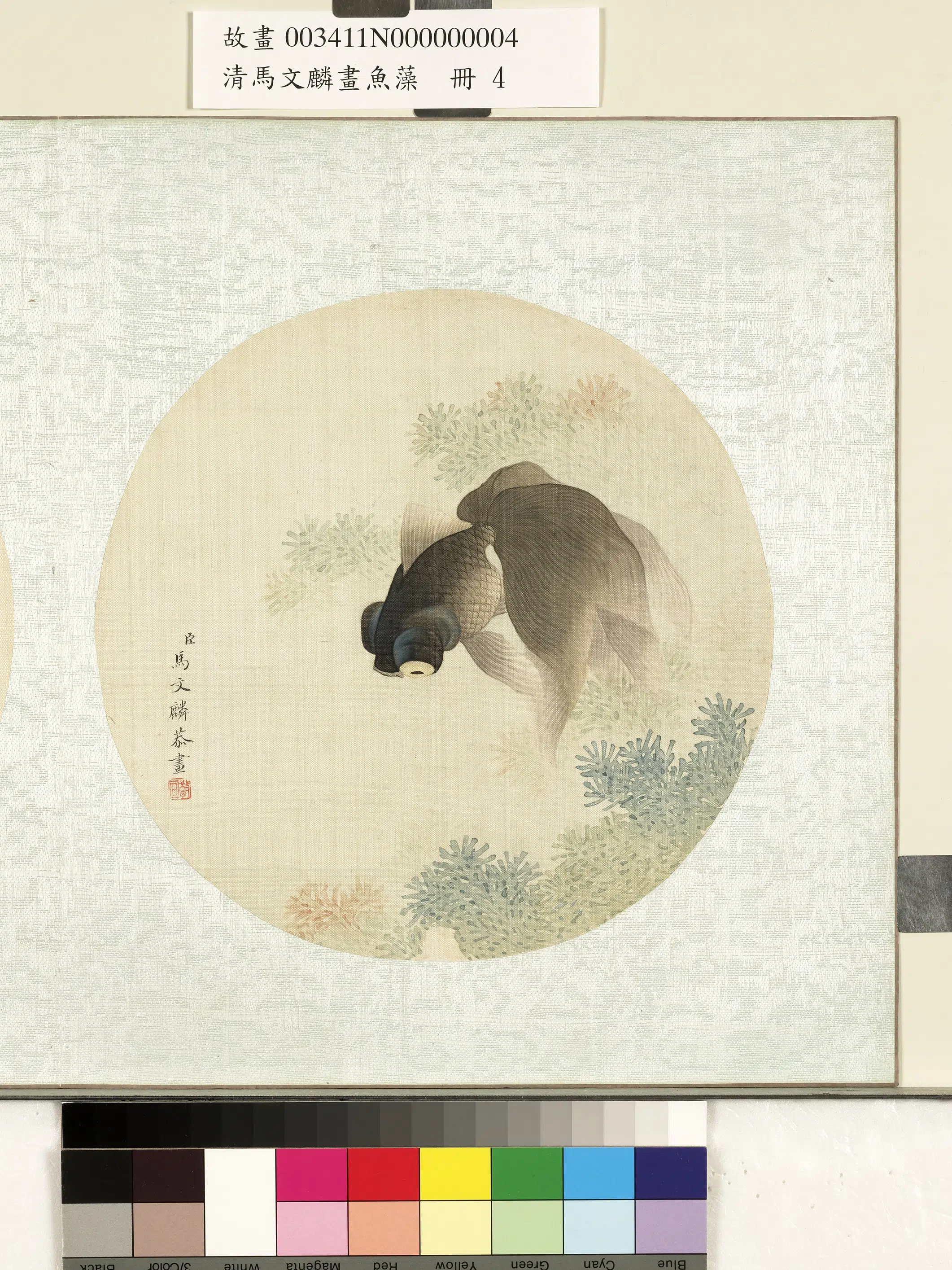 清代【马文麟】《画鱼藻册-金鱼-2》