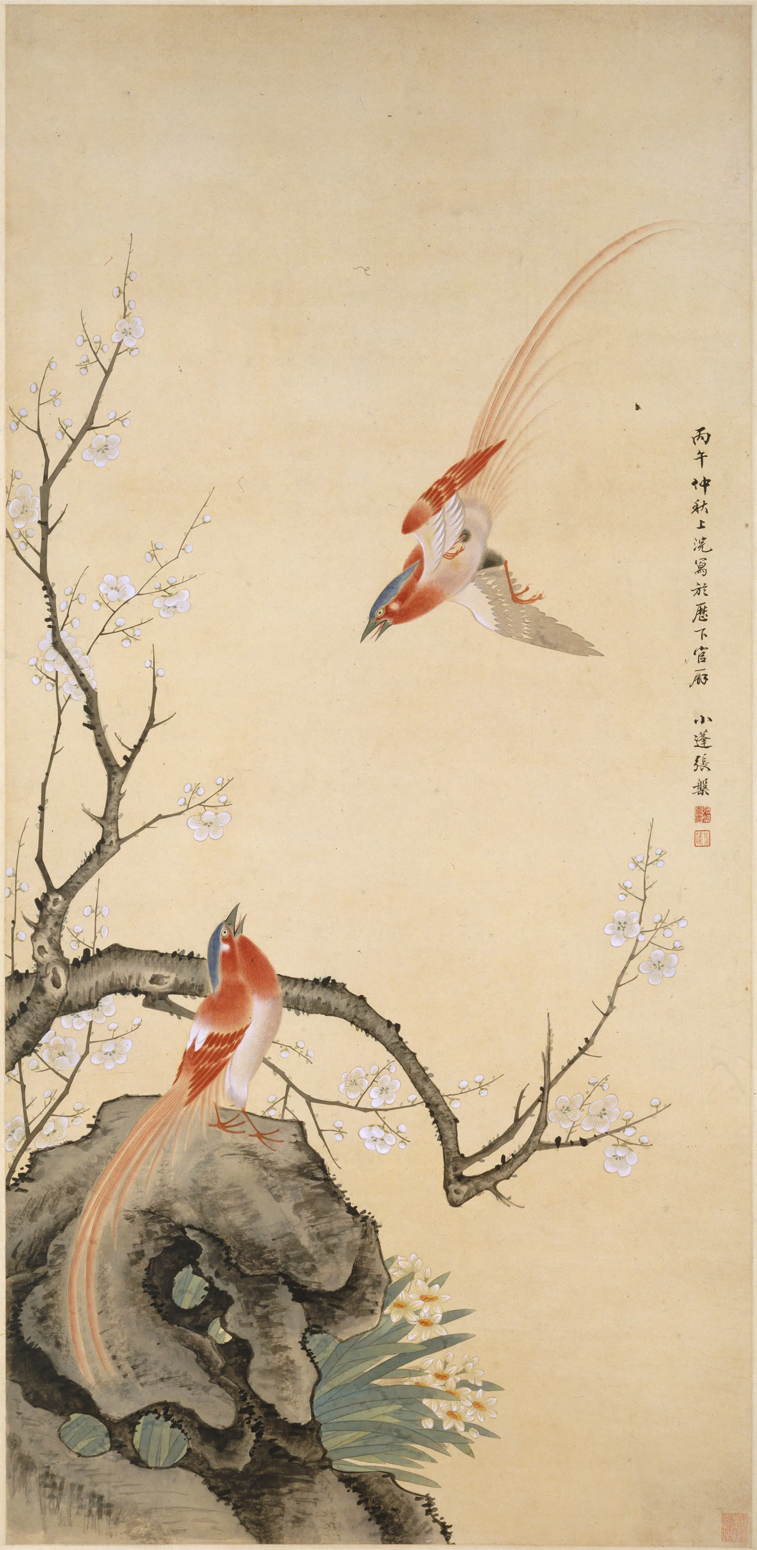 清代【张槃】《梅花绶带图轴》 第1张