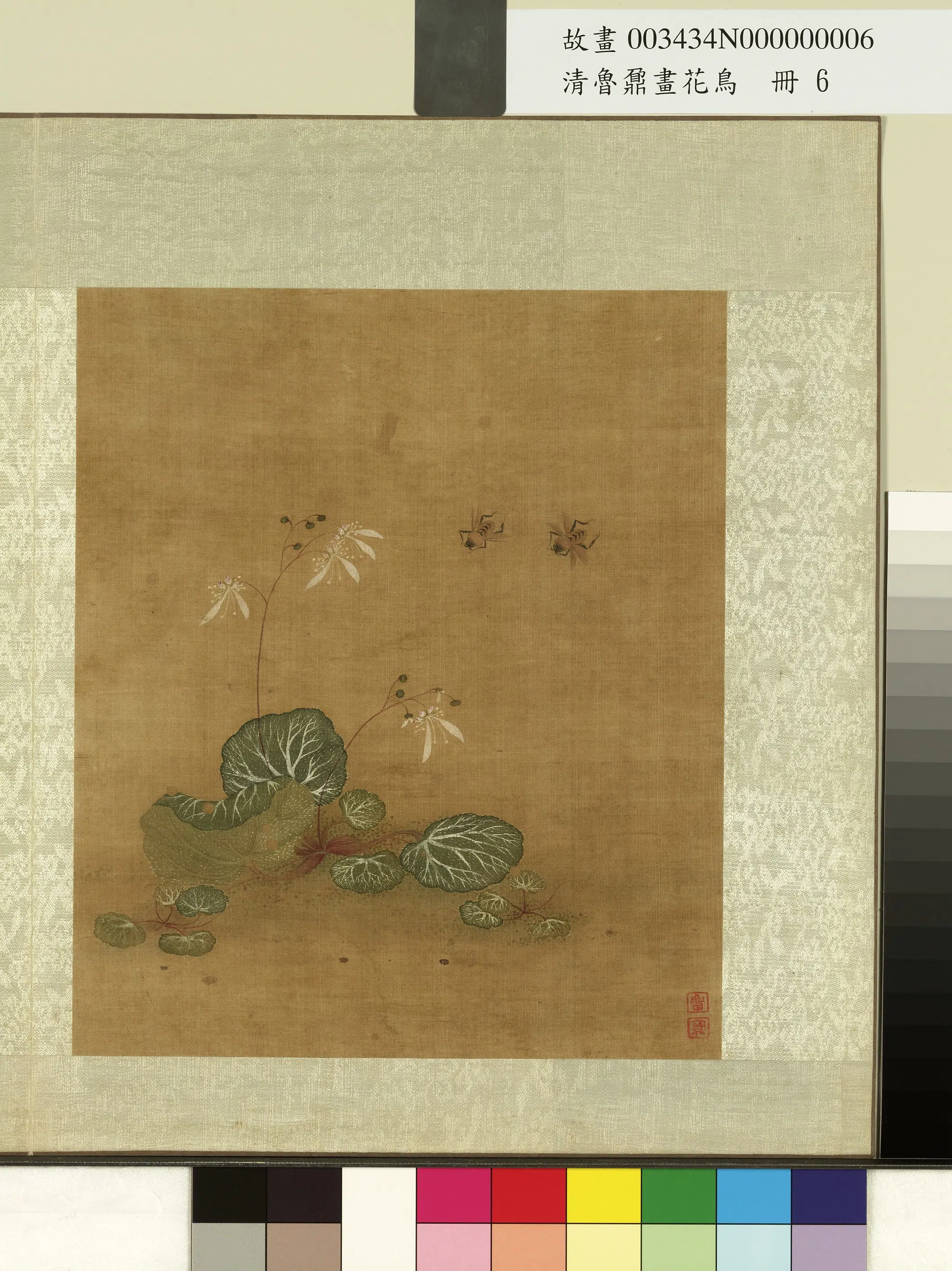 清代【鲁鼐】《画花鸟册-虎耳草蜂》
