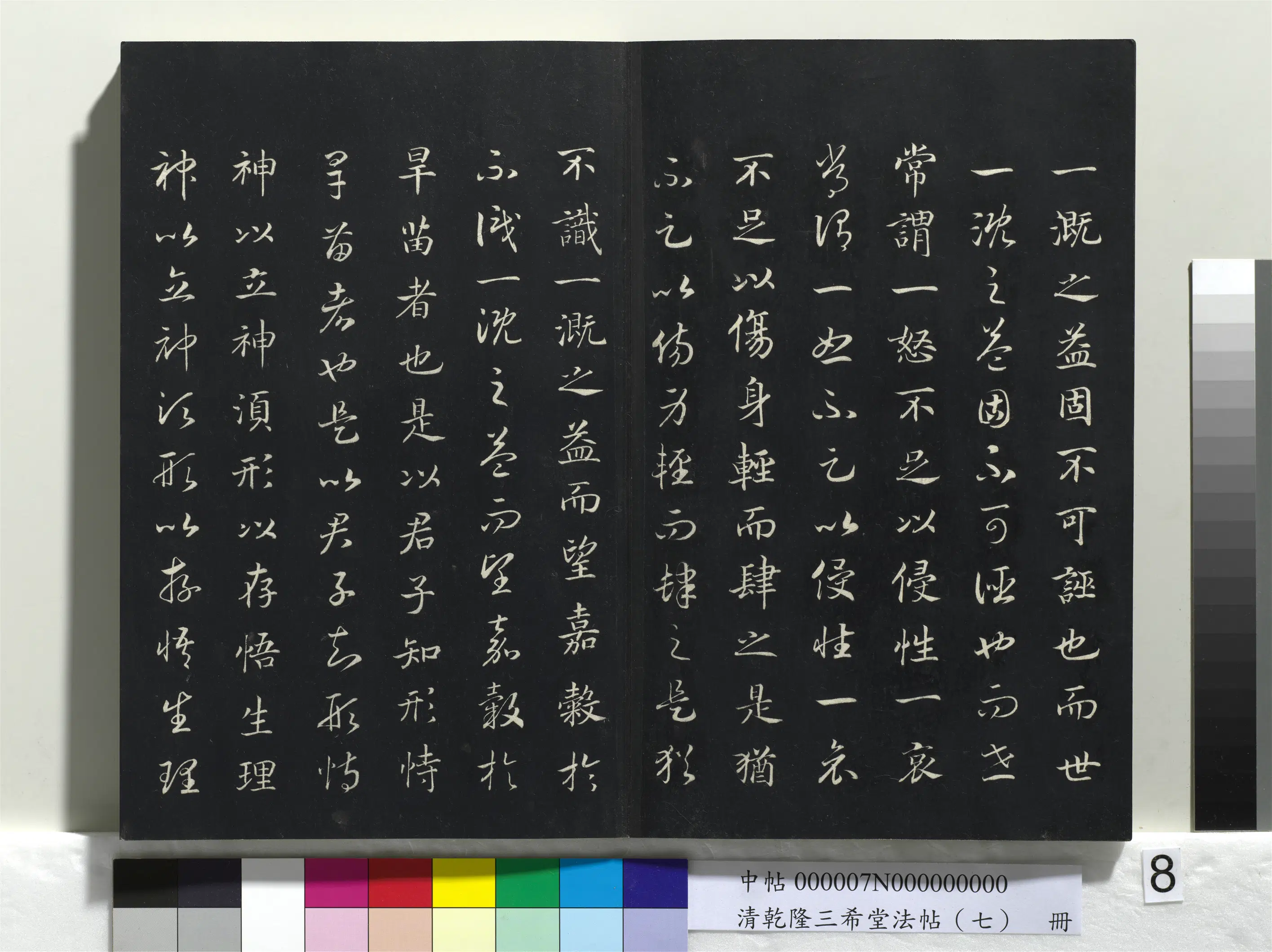 南宋【赵构-宋高宗】《乾隆三希堂法帖（七）册-宋高宗真草书嵇康养生论》 第21张