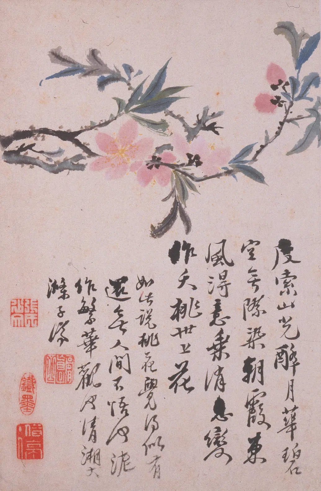 清代【石涛】《花卉册》