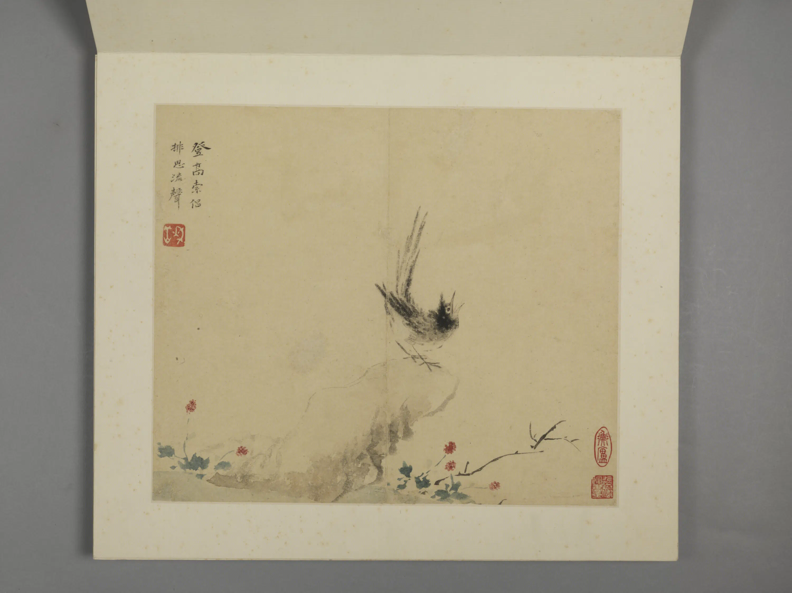 清代【华喦】《花鸟册（8开）》 第2张