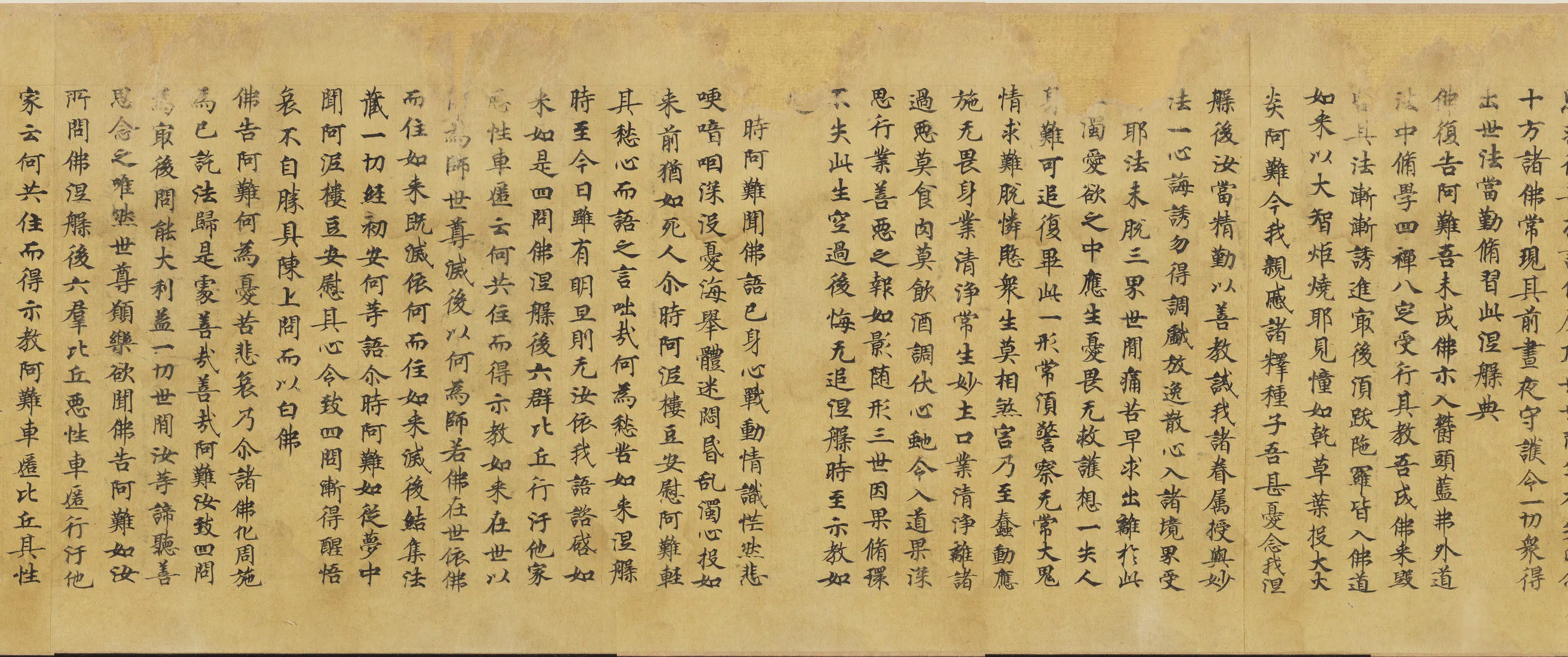 唐朝《唐人写大般涅盘经卷卌一卷》 第6张
