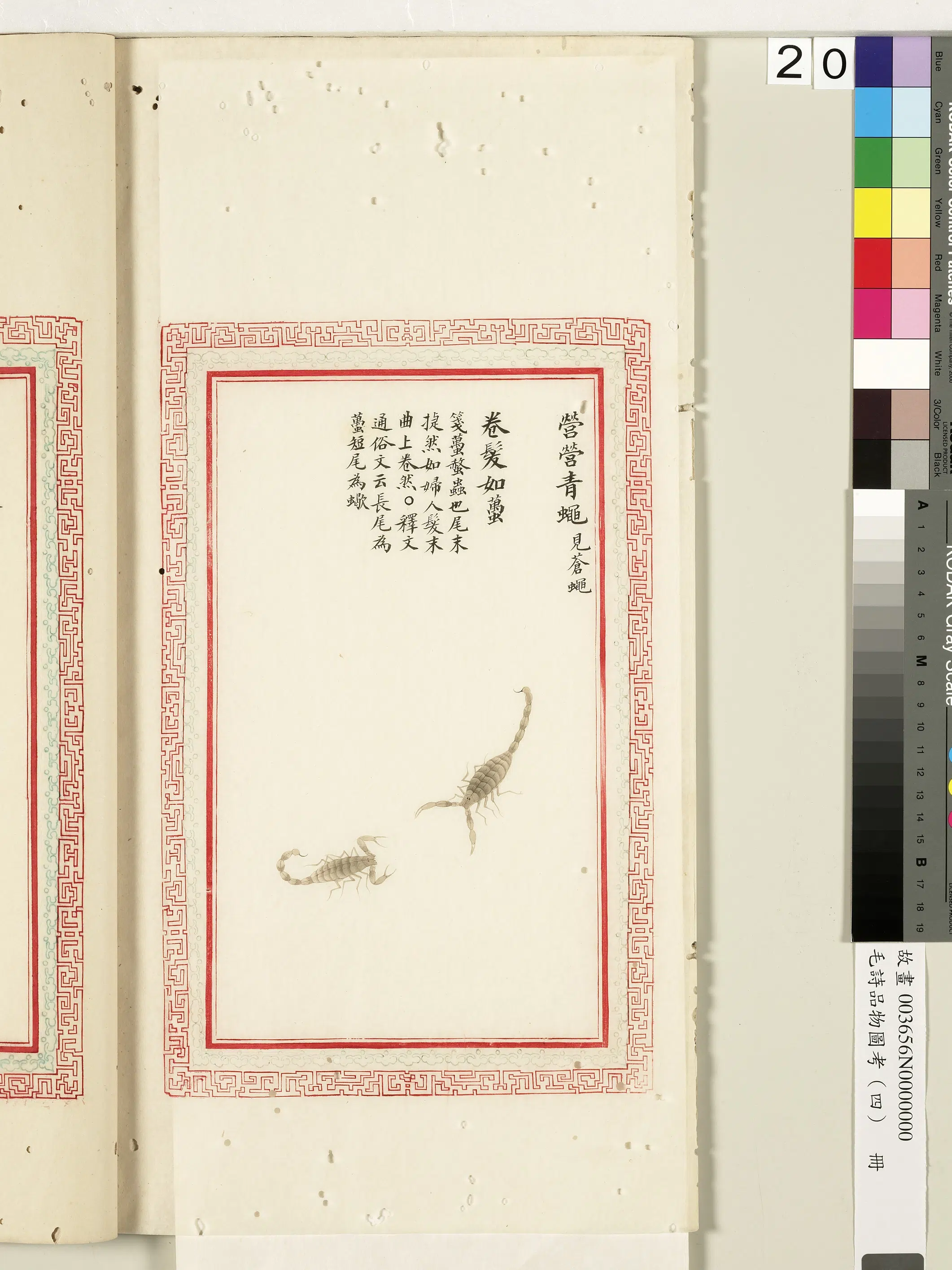 清代《毛诗品物图考（四）册-1》 第17张