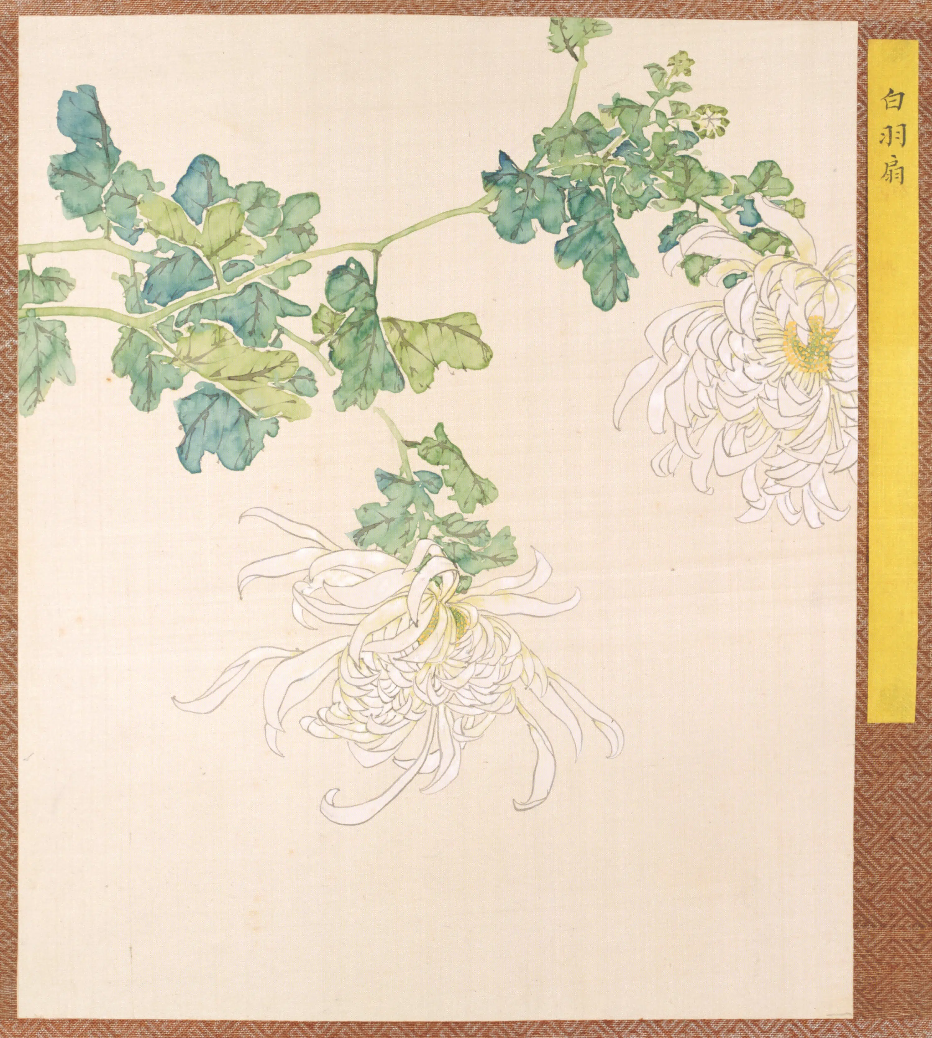 清代【清人】《菊谱册-6》 第1张 清代【清人】《菊谱册-6》 第1张