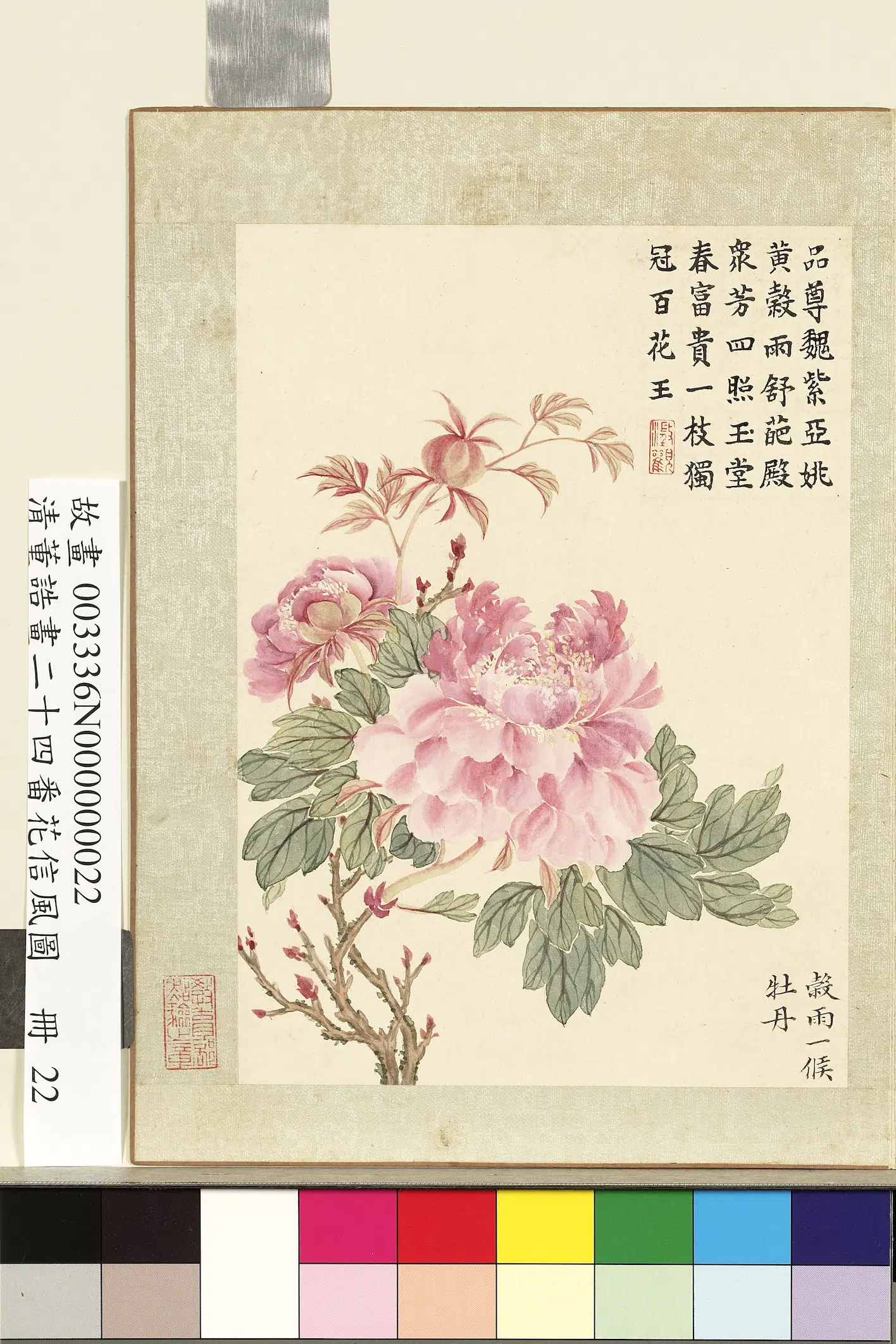 清代【董诰】《画二十四番花信风图册-谷雨一候牡丹》 第1张