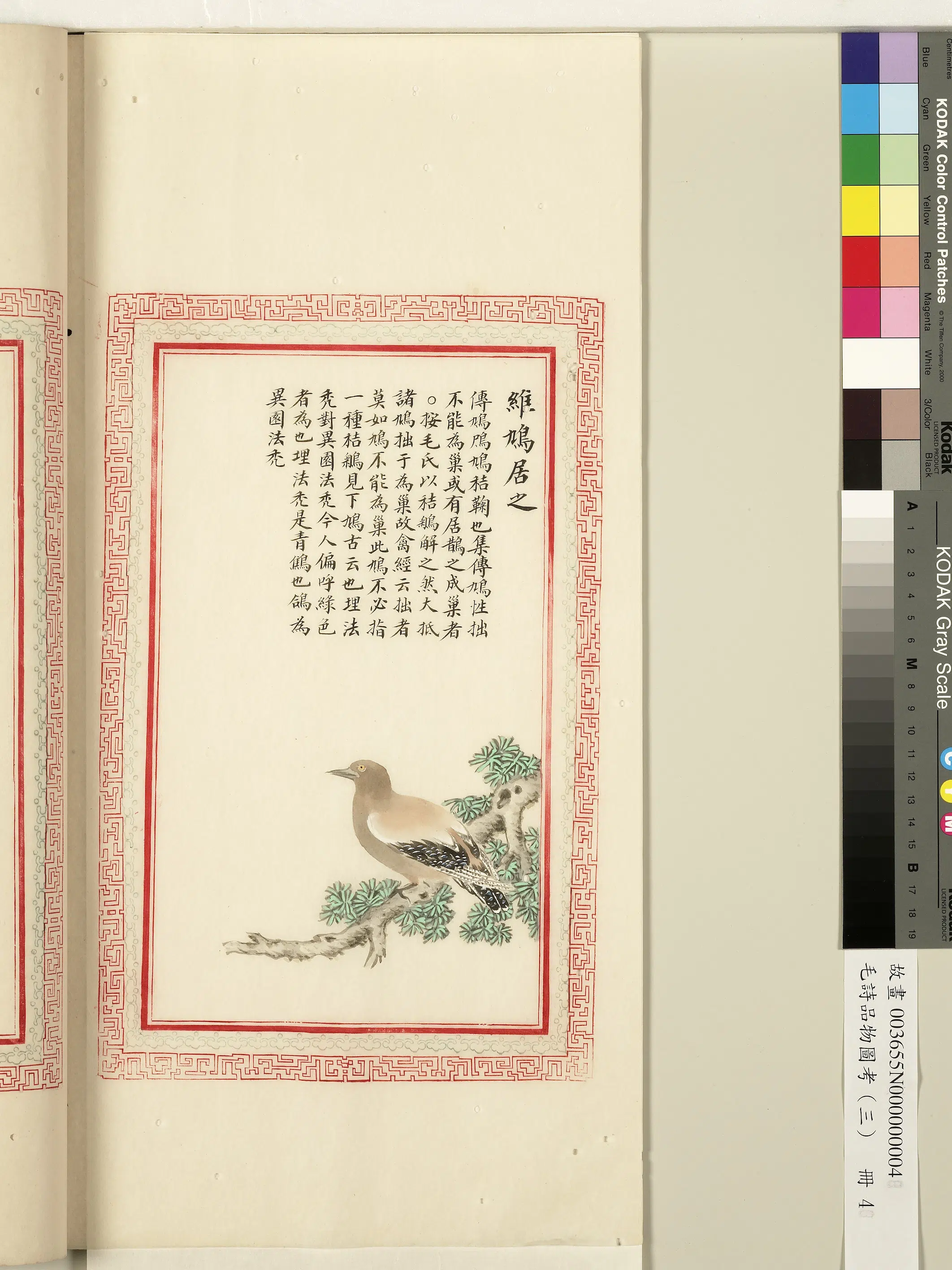 清代《毛诗品物图考(三)册-1》 第33张 清代《毛诗品物图考(三)册-1》 第33张