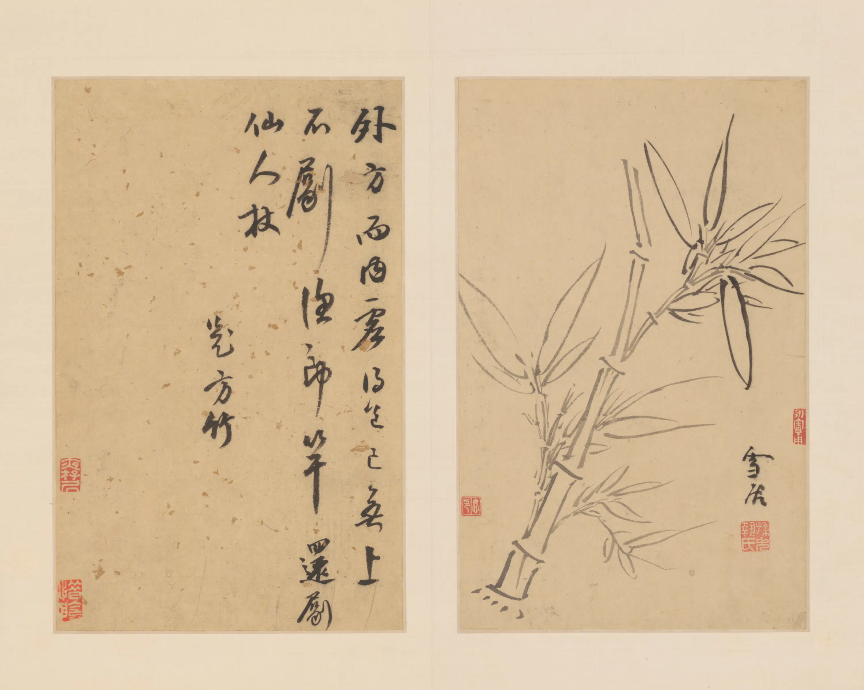 明朝【孙克弘】《花卉图册（11开）》 第6张