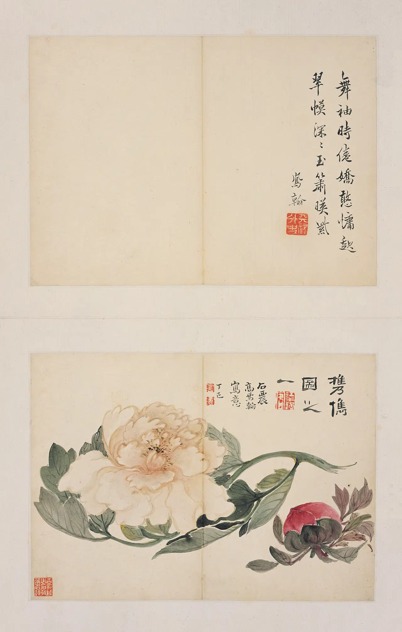 清代【高凤翰】《自题牡丹图册》