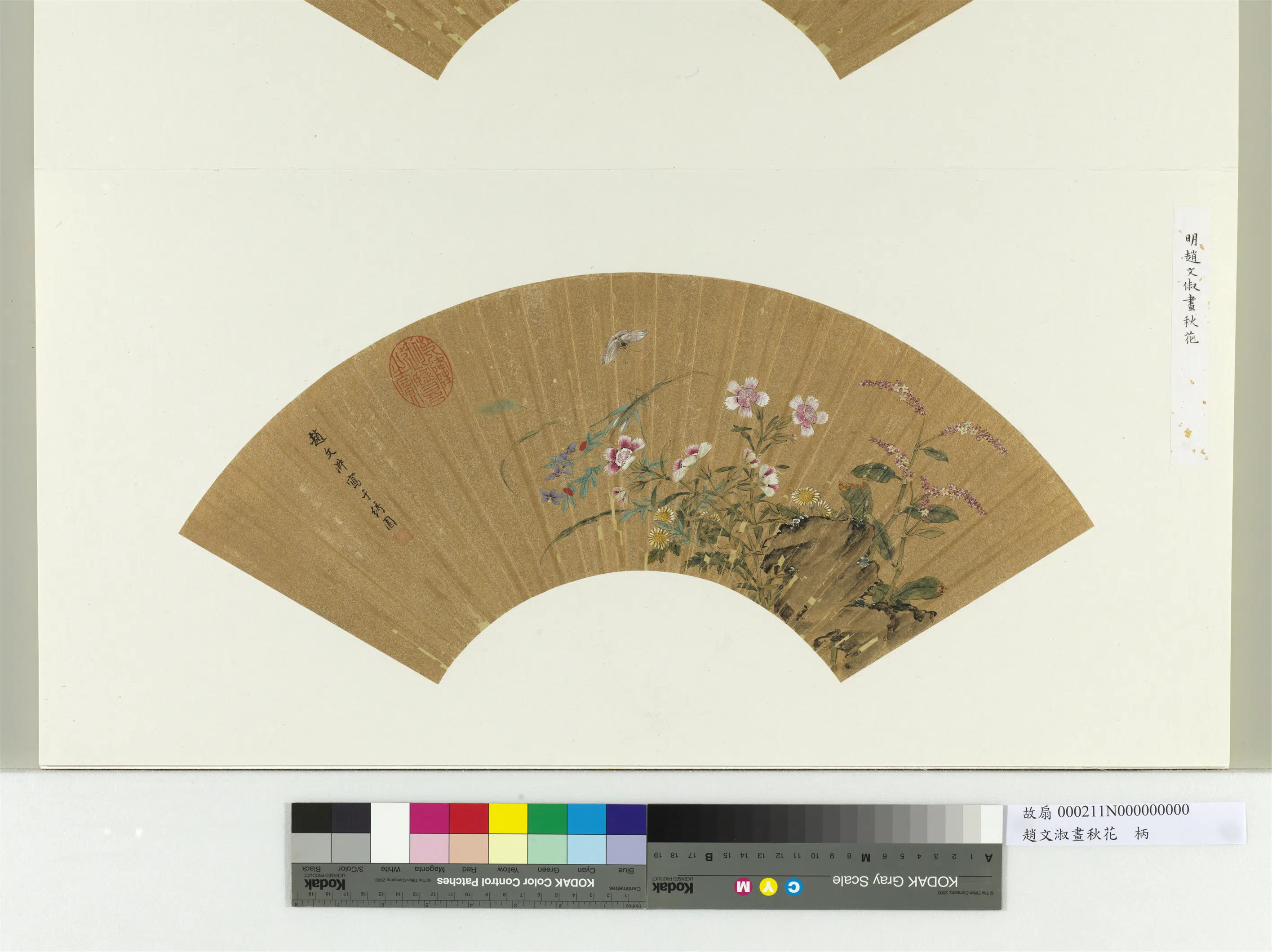 明朝【赵文俶】《画秋花册页》
