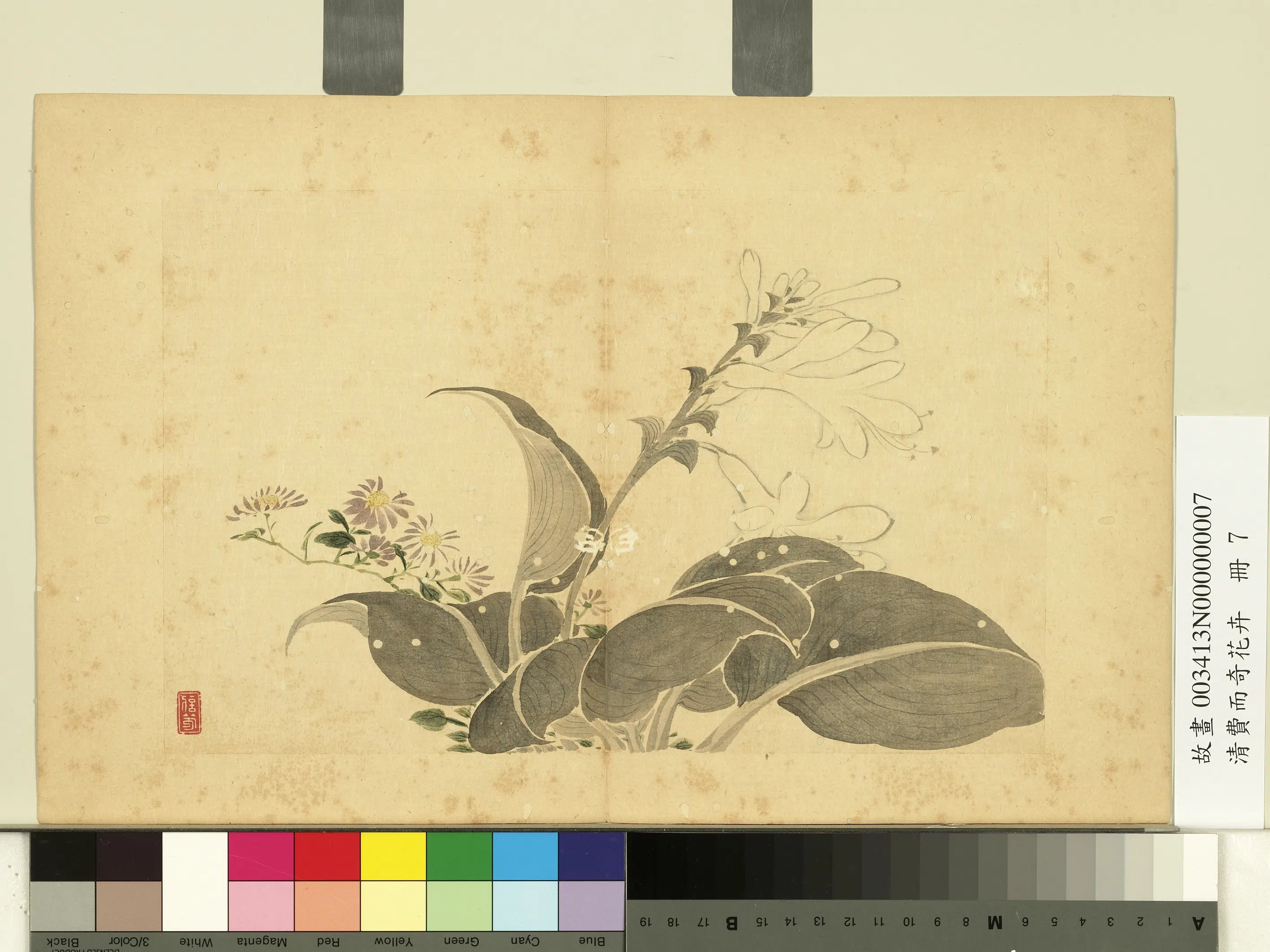 清代【费而奇】《花卉册》 第7张