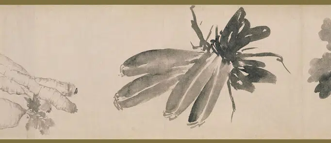 明朝【沈周】《花果图卷》 第7张