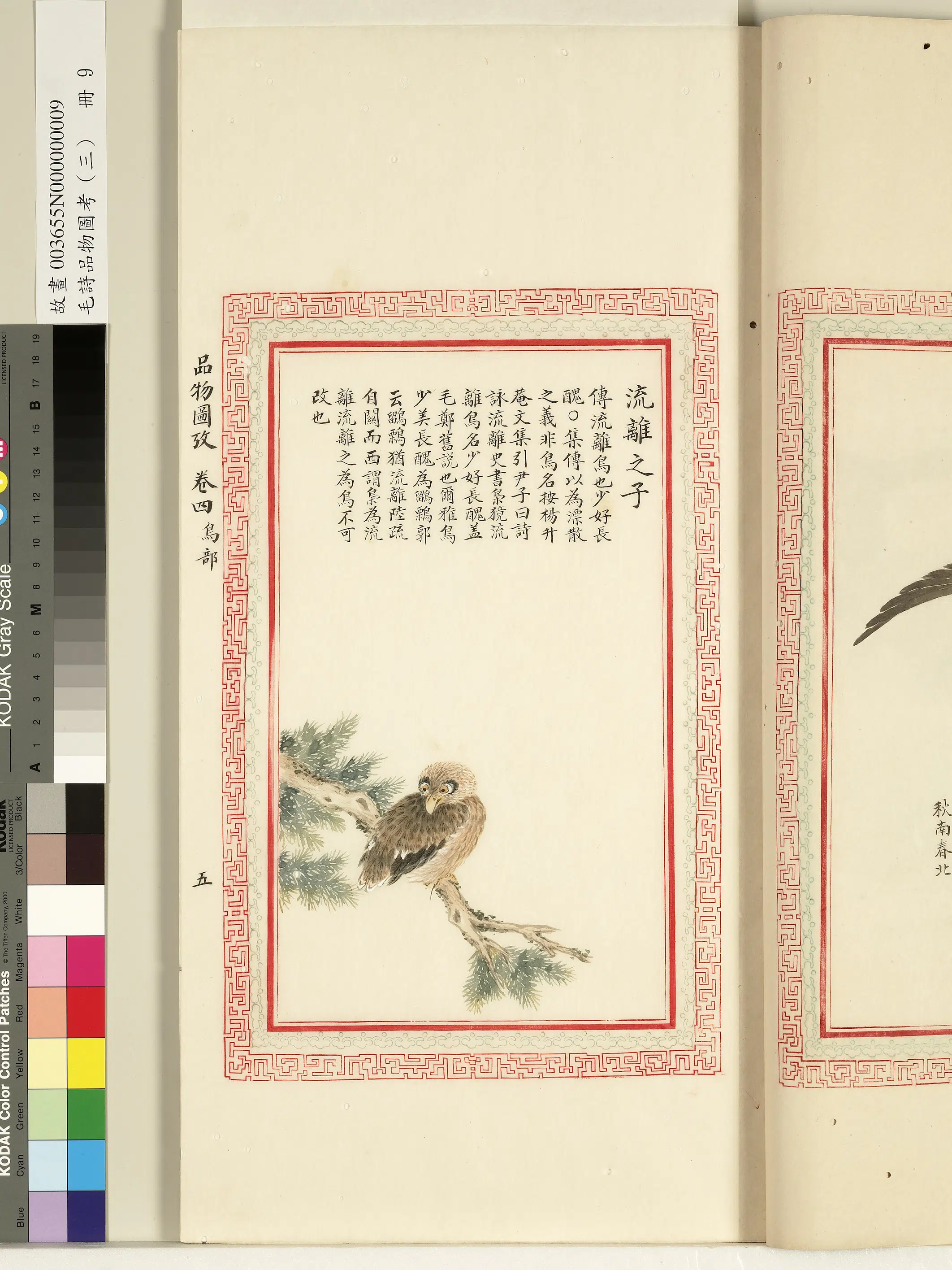 清代《毛诗品物图考(三)册-1》 第30张 清代《毛诗品物图考(三)册-1》 第30张