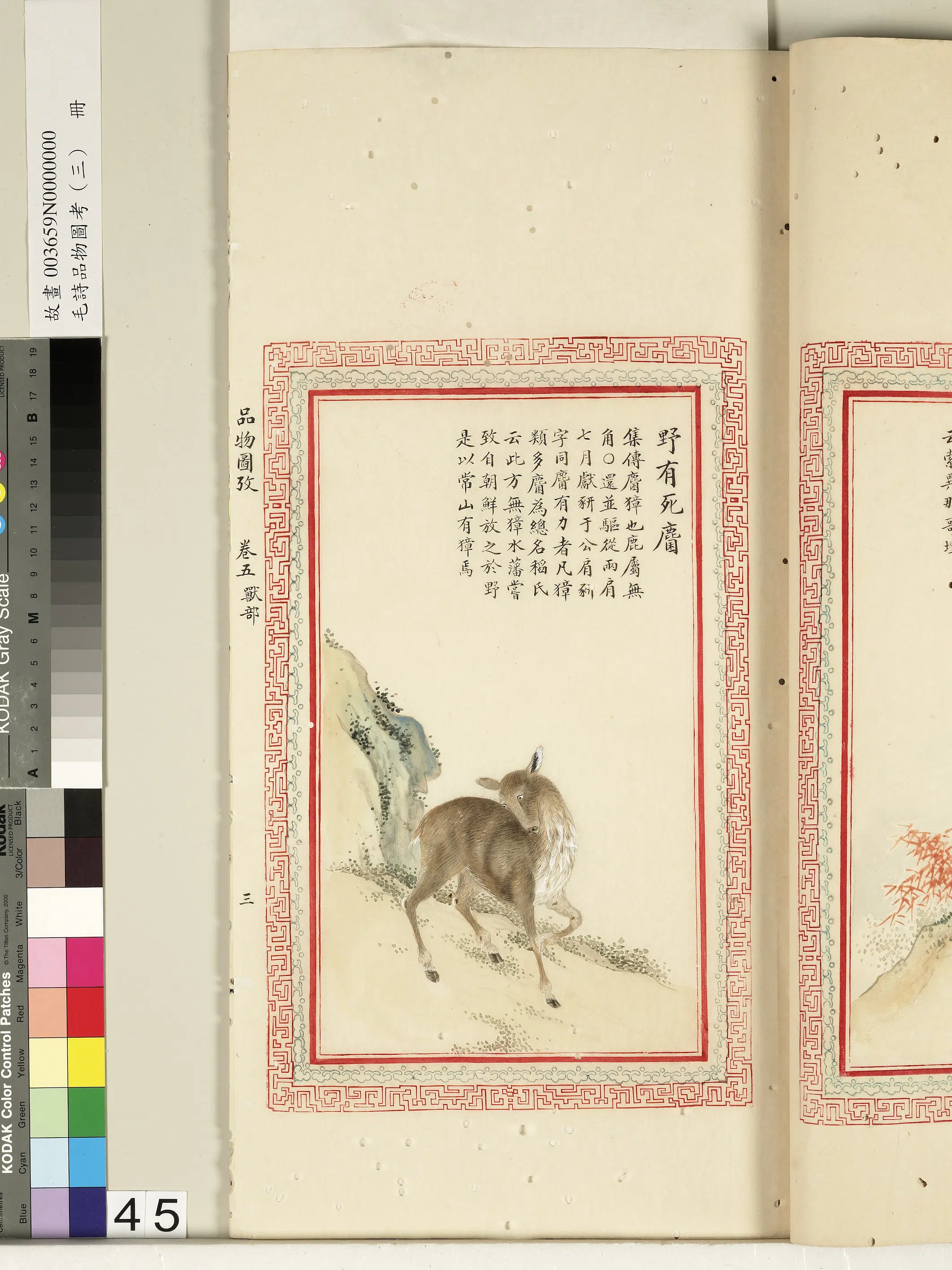 清代《毛诗品物图考(三)册-2》 第48张 清代《毛诗品物图考(三)册-2》 第48张