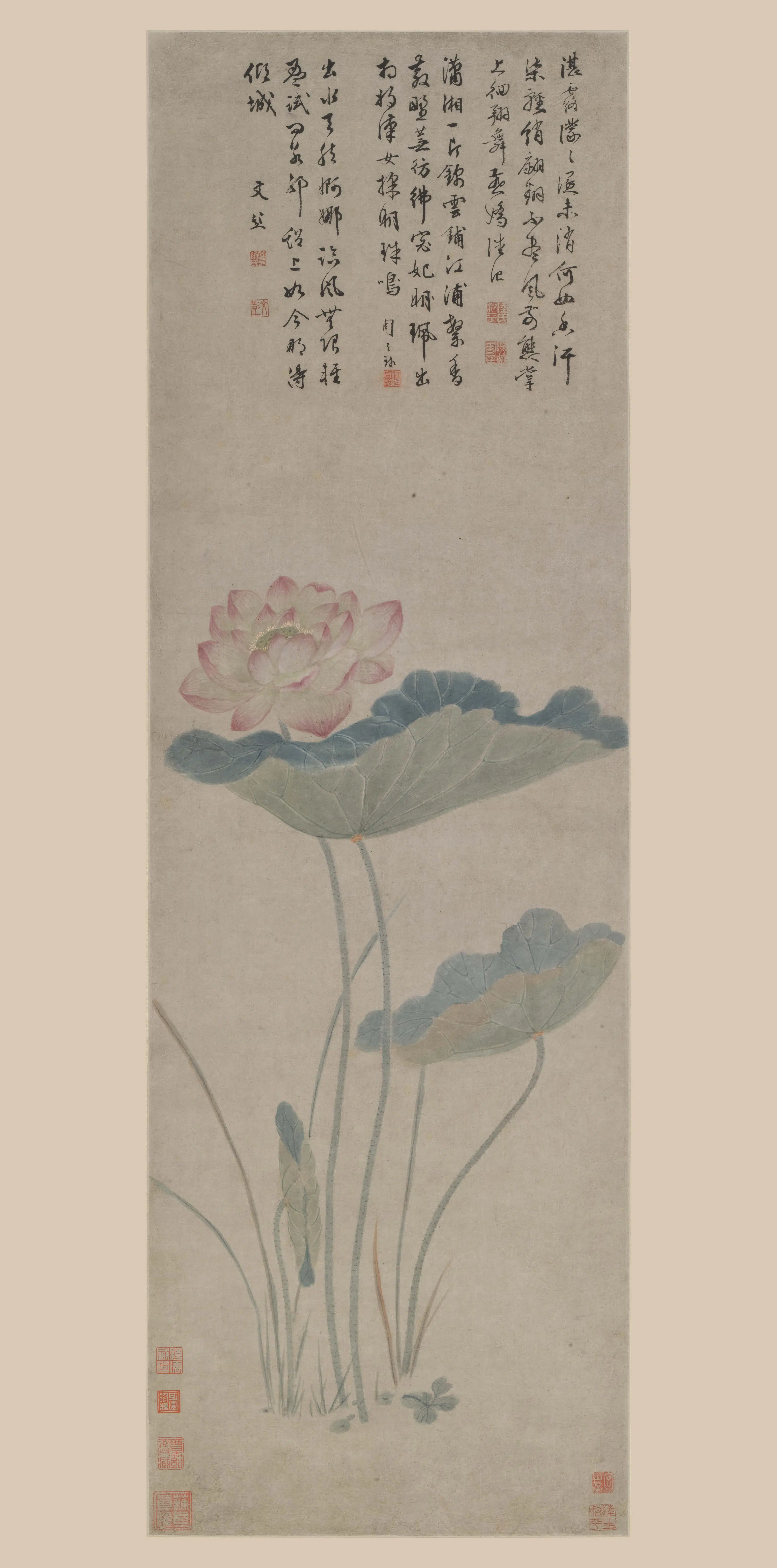 明朝【陆治】《荷花图轴》