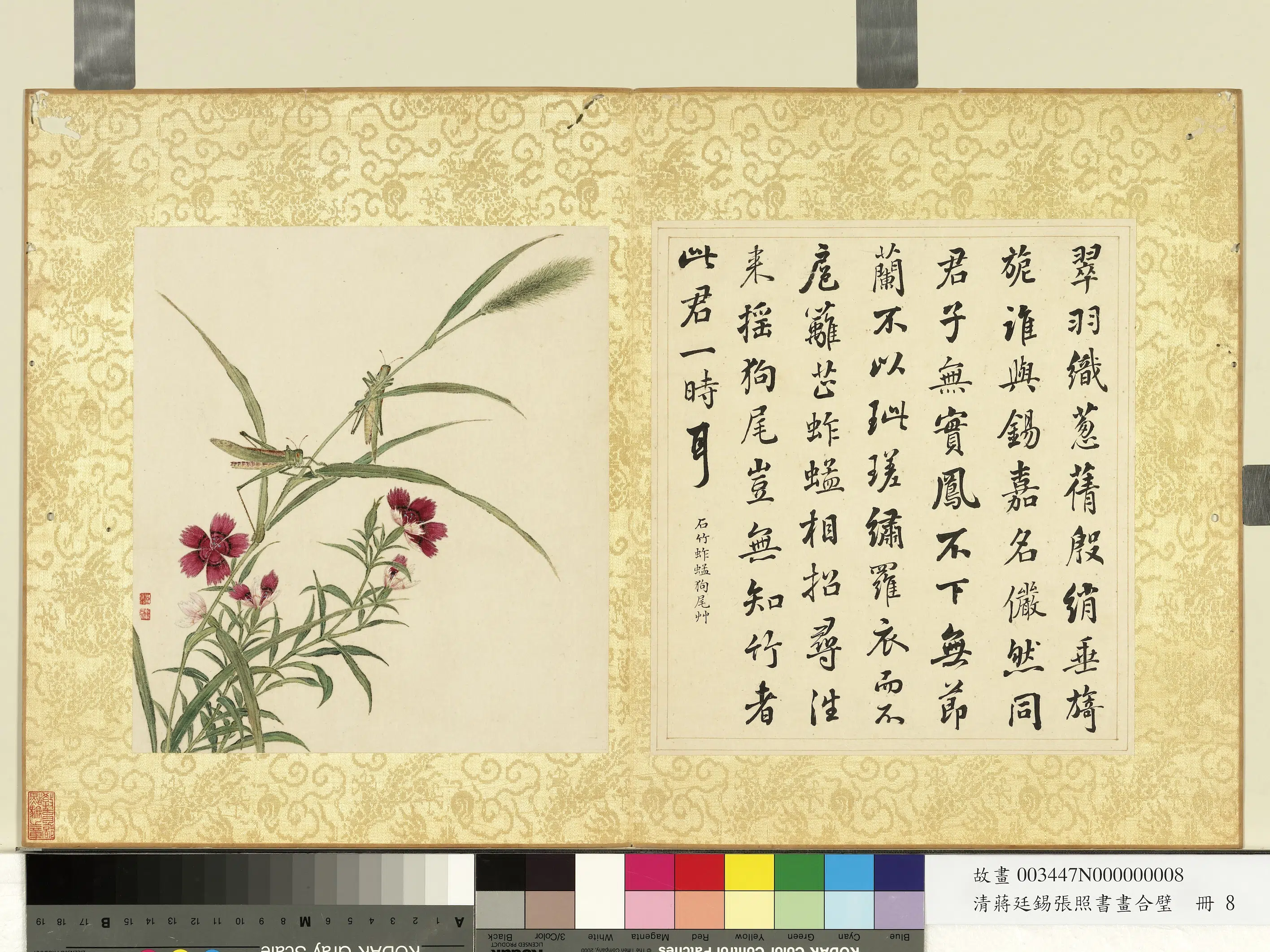 清代【张照蒋廷锡】《蒋廷锡张照书画合璧册-草石蚱蜢》