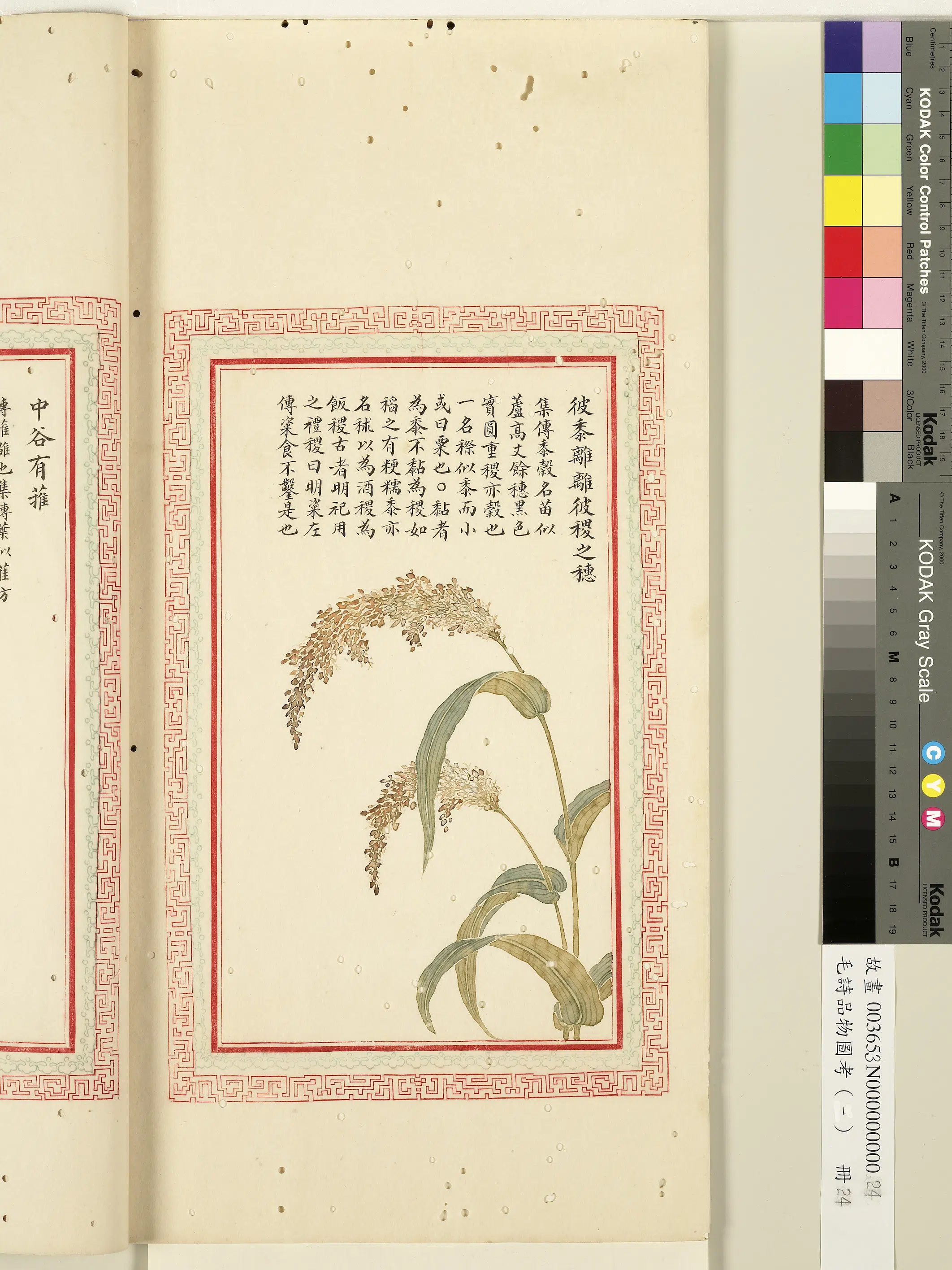 清代《毛诗品物图考(一)册-1》 第27张 清代《毛诗品物图考(一)册-1》 第27张