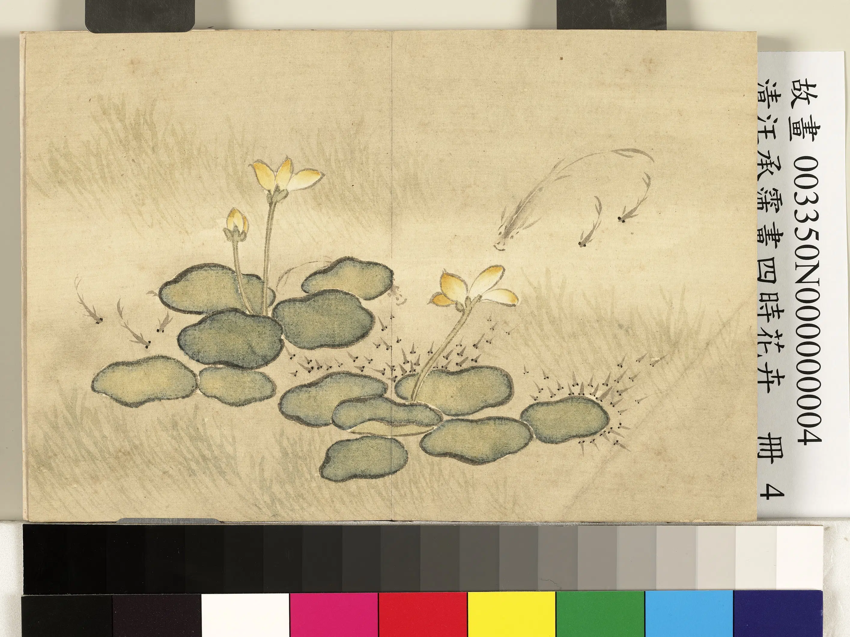 清代【汪承霈】《画四时花卉册-花鱼》