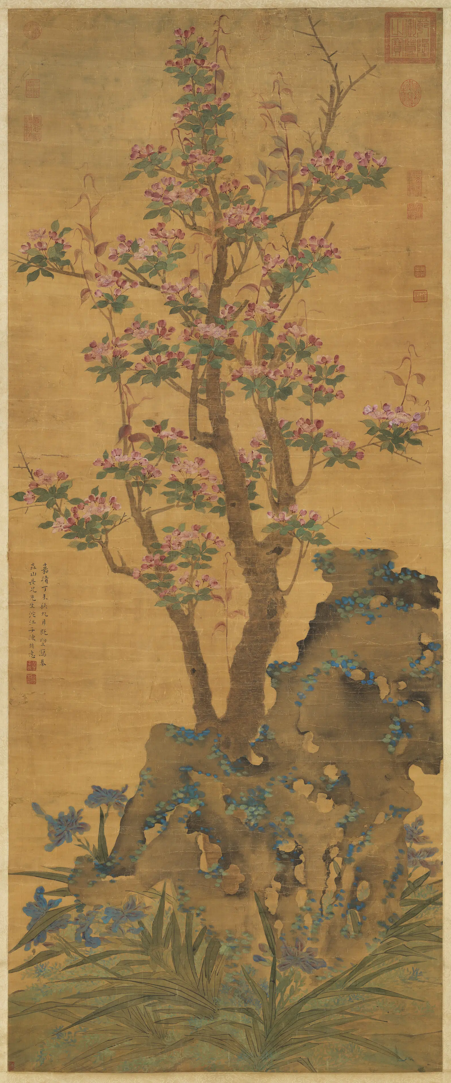 明朝【陈栝】《海棠图轴》