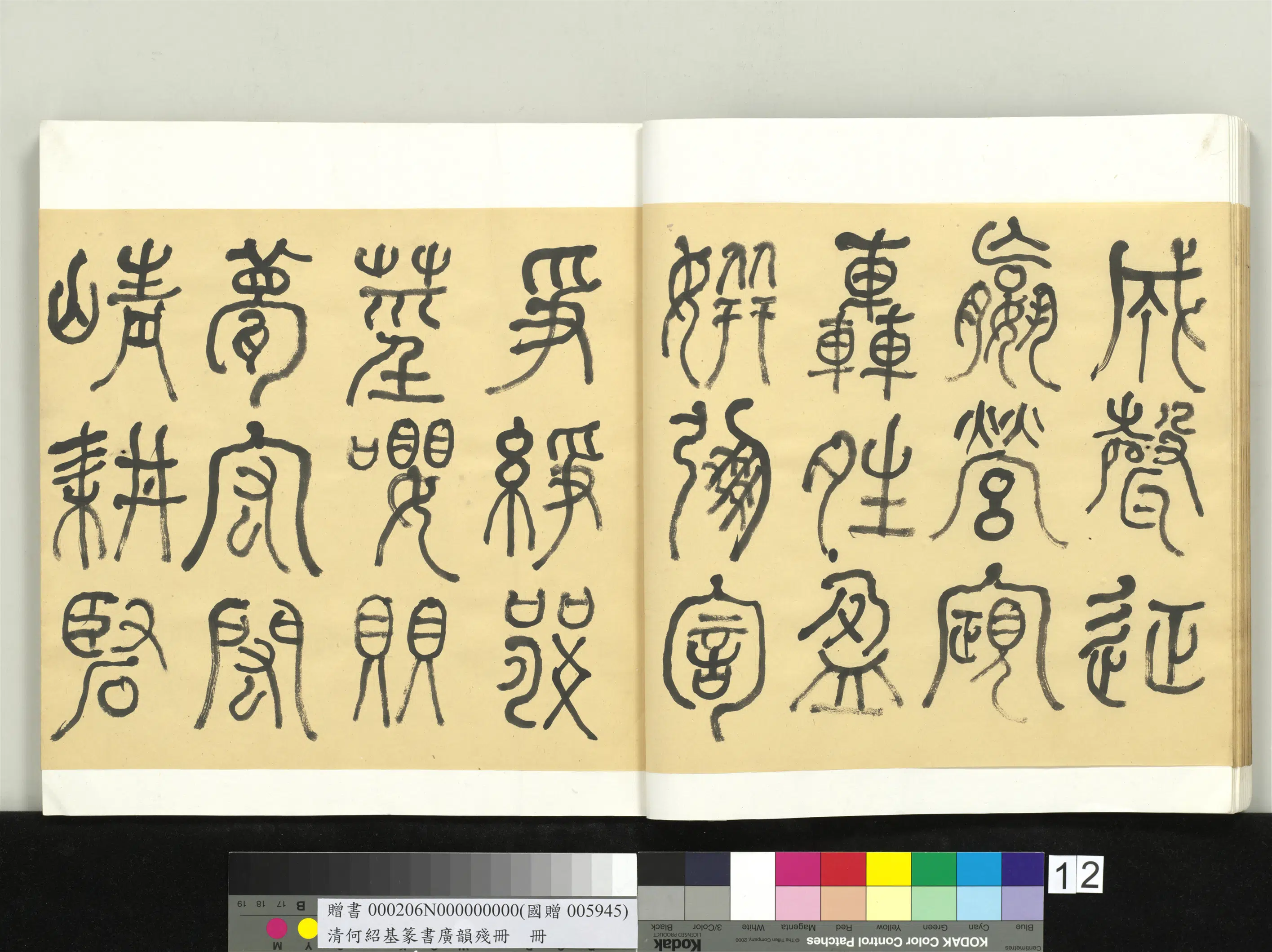 清代【何绍基】《篆书广韵册》 第12张