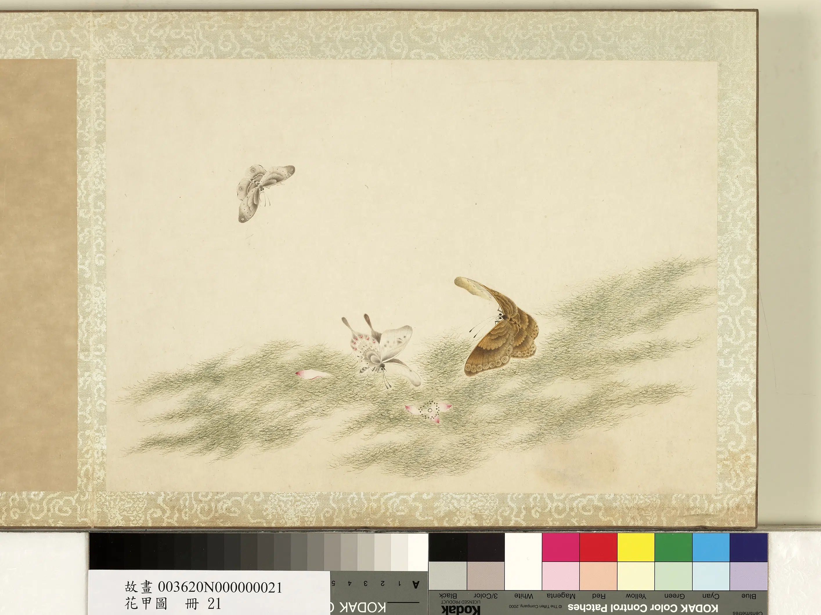 《花甲图册》 第20张 《花甲图册》 第20张