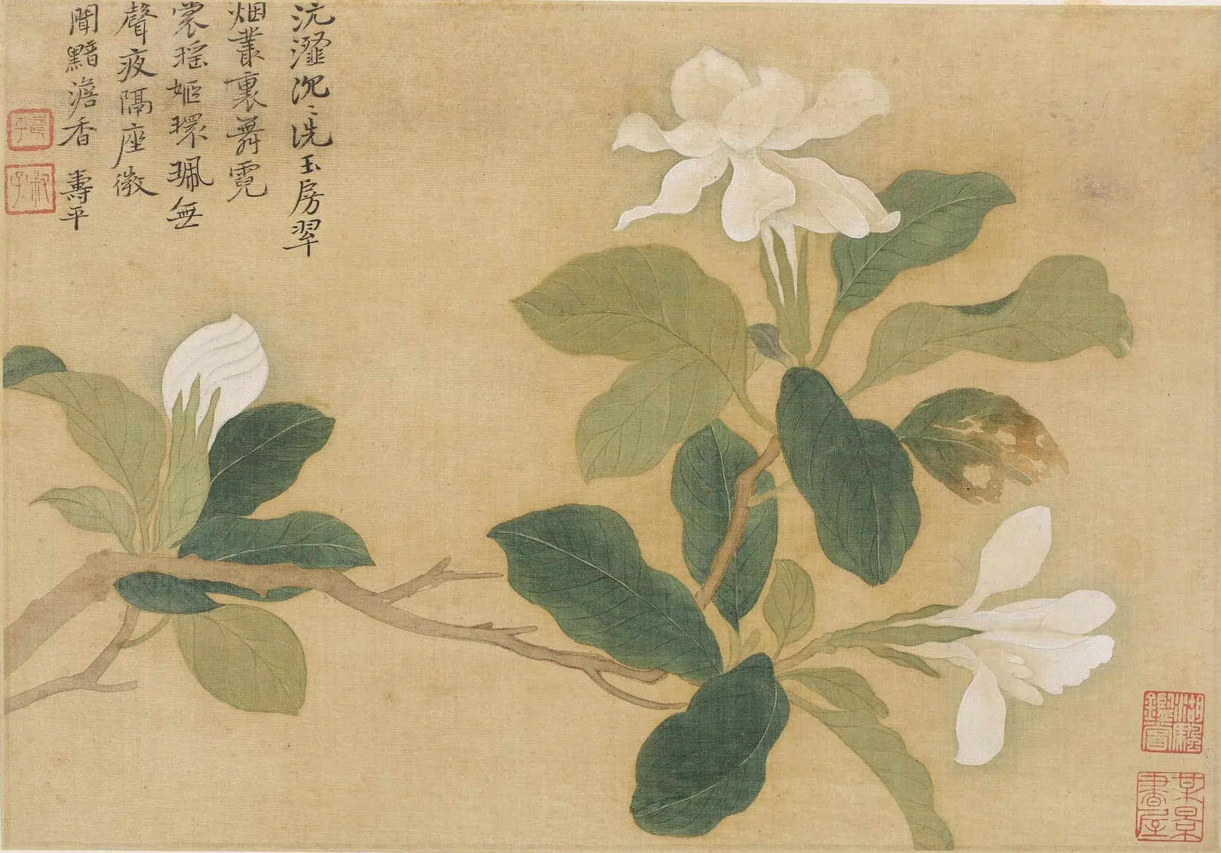 清代【恽寿平】《花卉图册(十开)》 第10张 清代【恽寿平】《花卉图册(十开)》 第10张