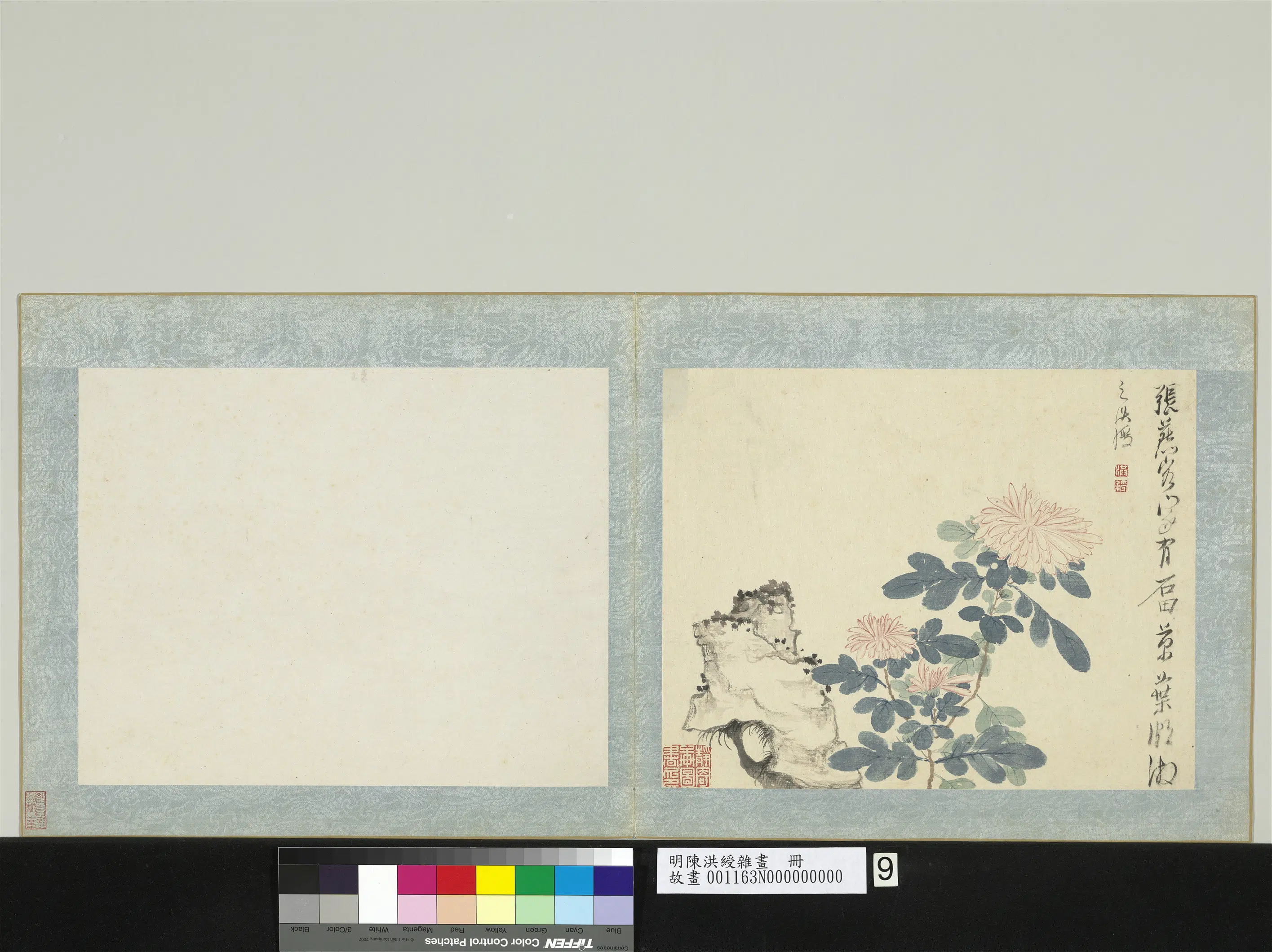 明朝【陈洪绶】《杂画册-菊花》